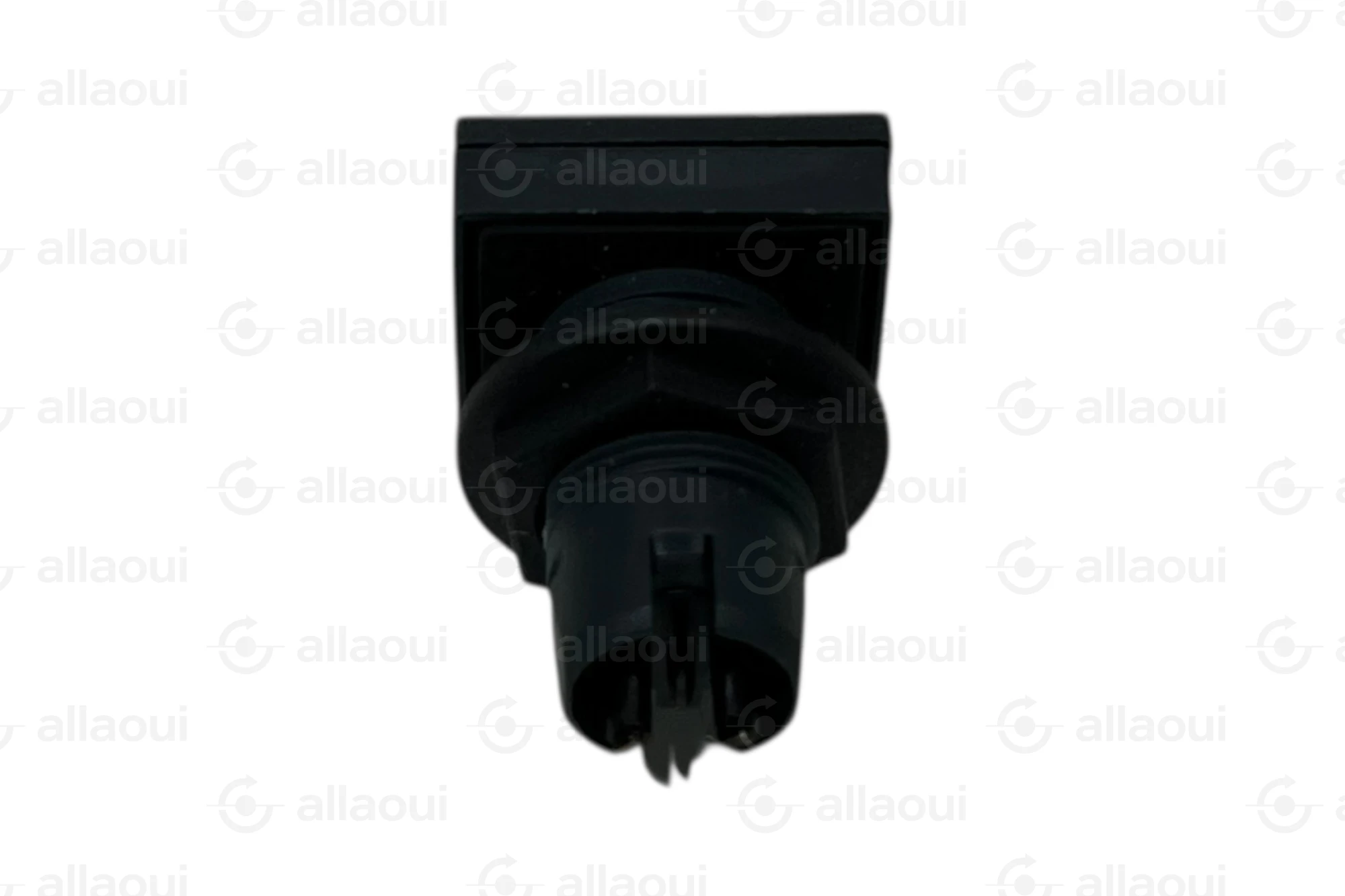 Schmersal Push Button 101004879
