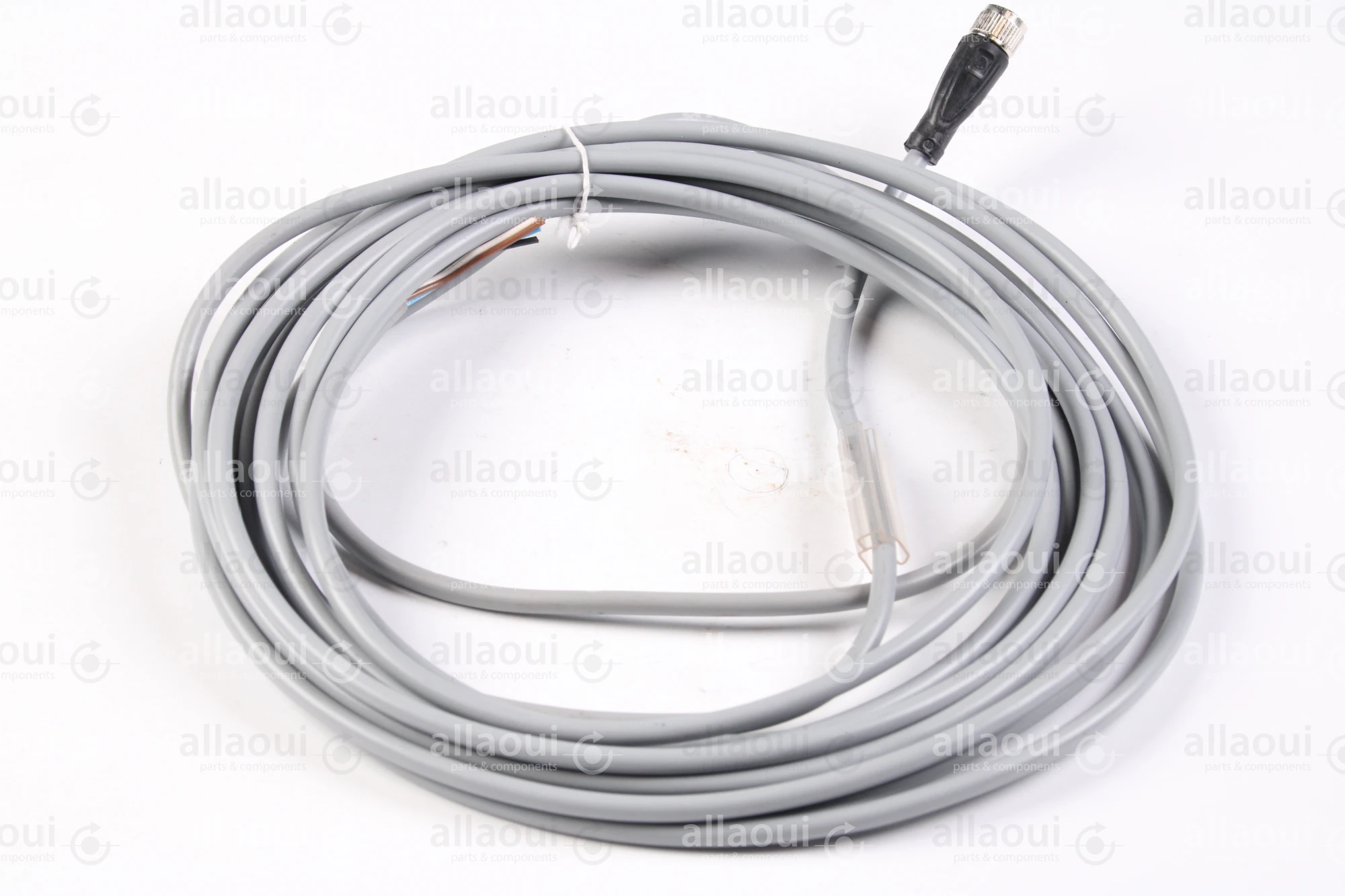 PEPPERL+FUCHS Female cordset V31-GM-5M-PVC PEPPERL+FUCHS Female cordset V31-GM-5M-PVC