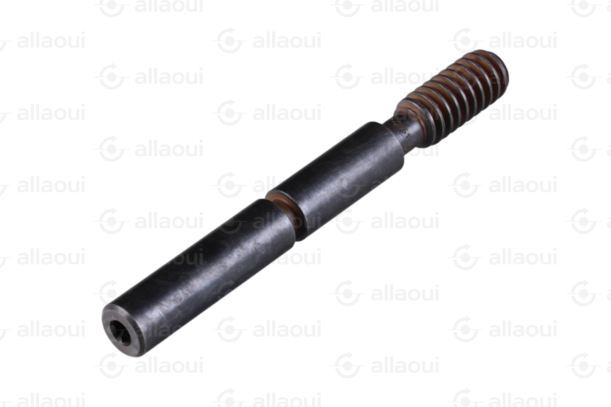 Manroland Worm 8008F302351