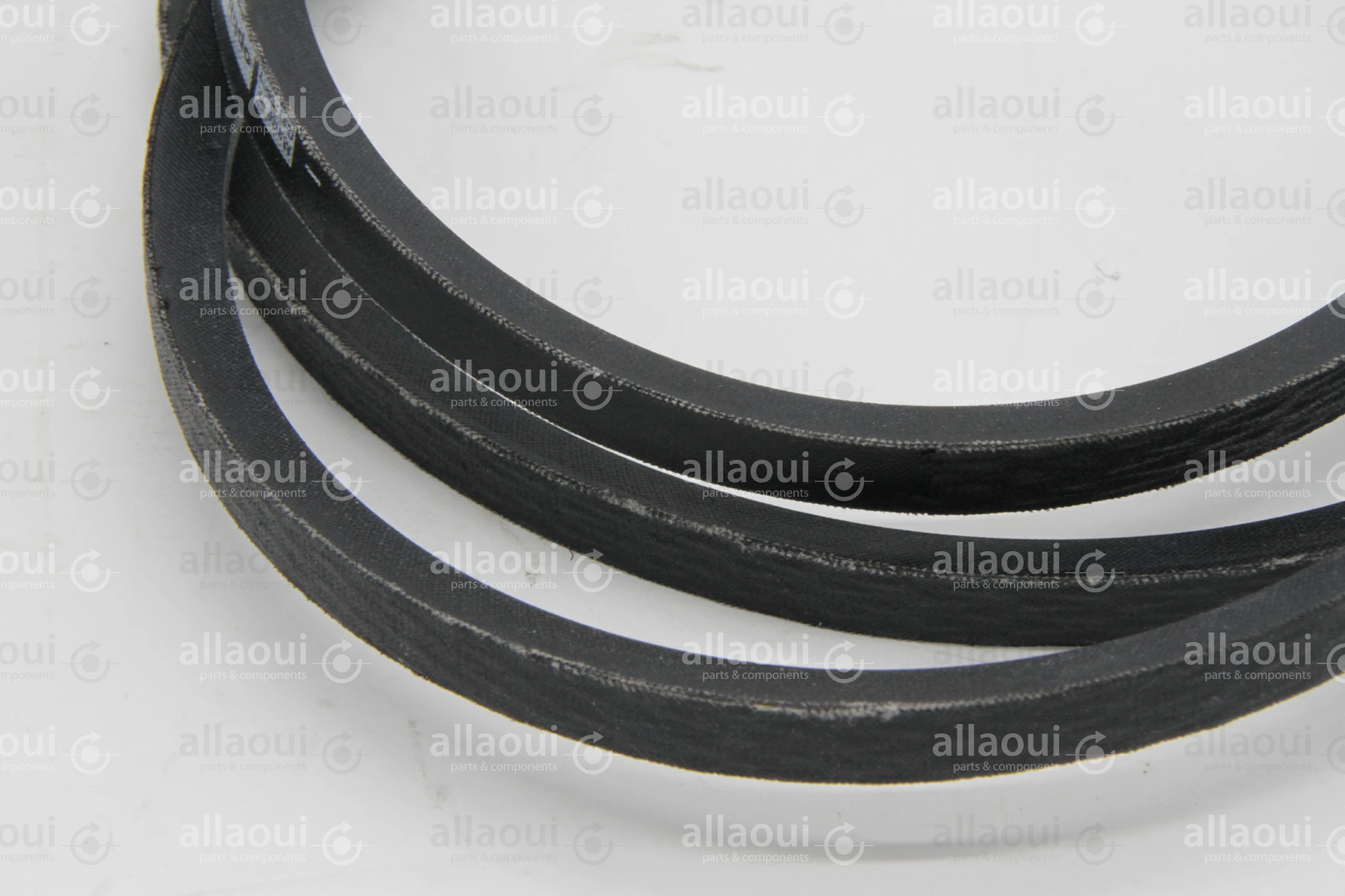 Heidelberg Narrov V-Belt SPZ 1637-LW ZD.200-594-84-00 Heidelberg Narrov V-Belt SPZ 1637-LW ZD.200-594-84-00