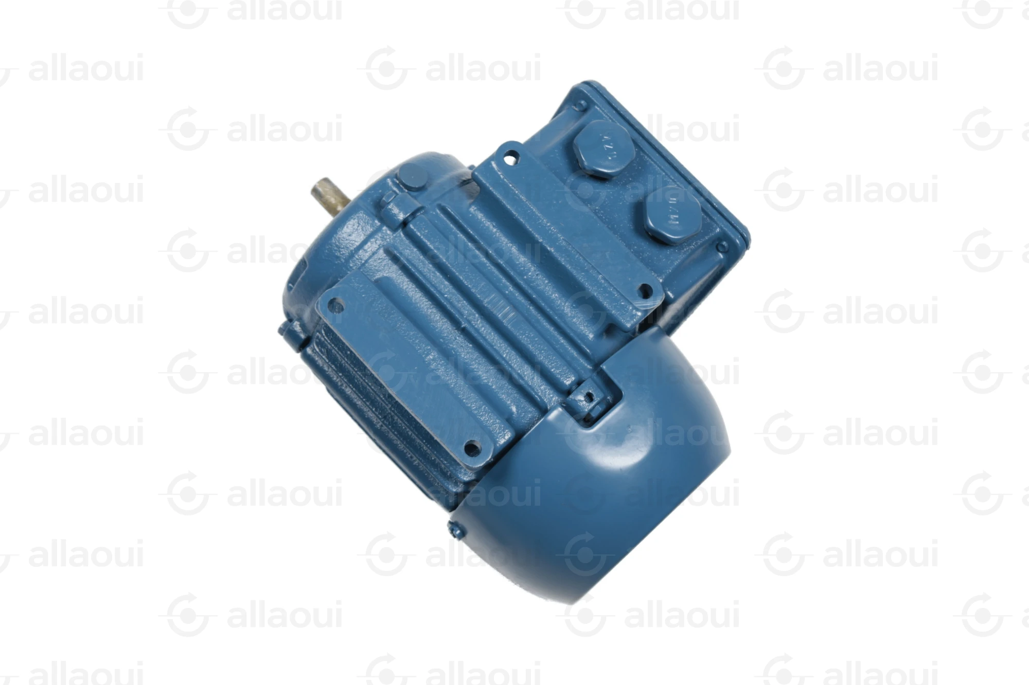 Weg Motor W22 Weg Motor W22