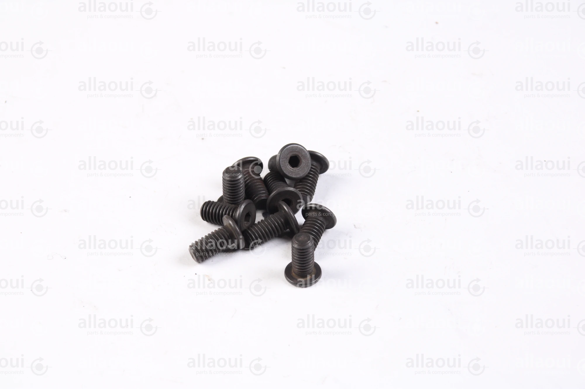 Ferag Cylinder Head Screw (10 Pieces) 1913.406.122 Ferag Cylinder Head Screw (10 Pieces) 1913.406.122