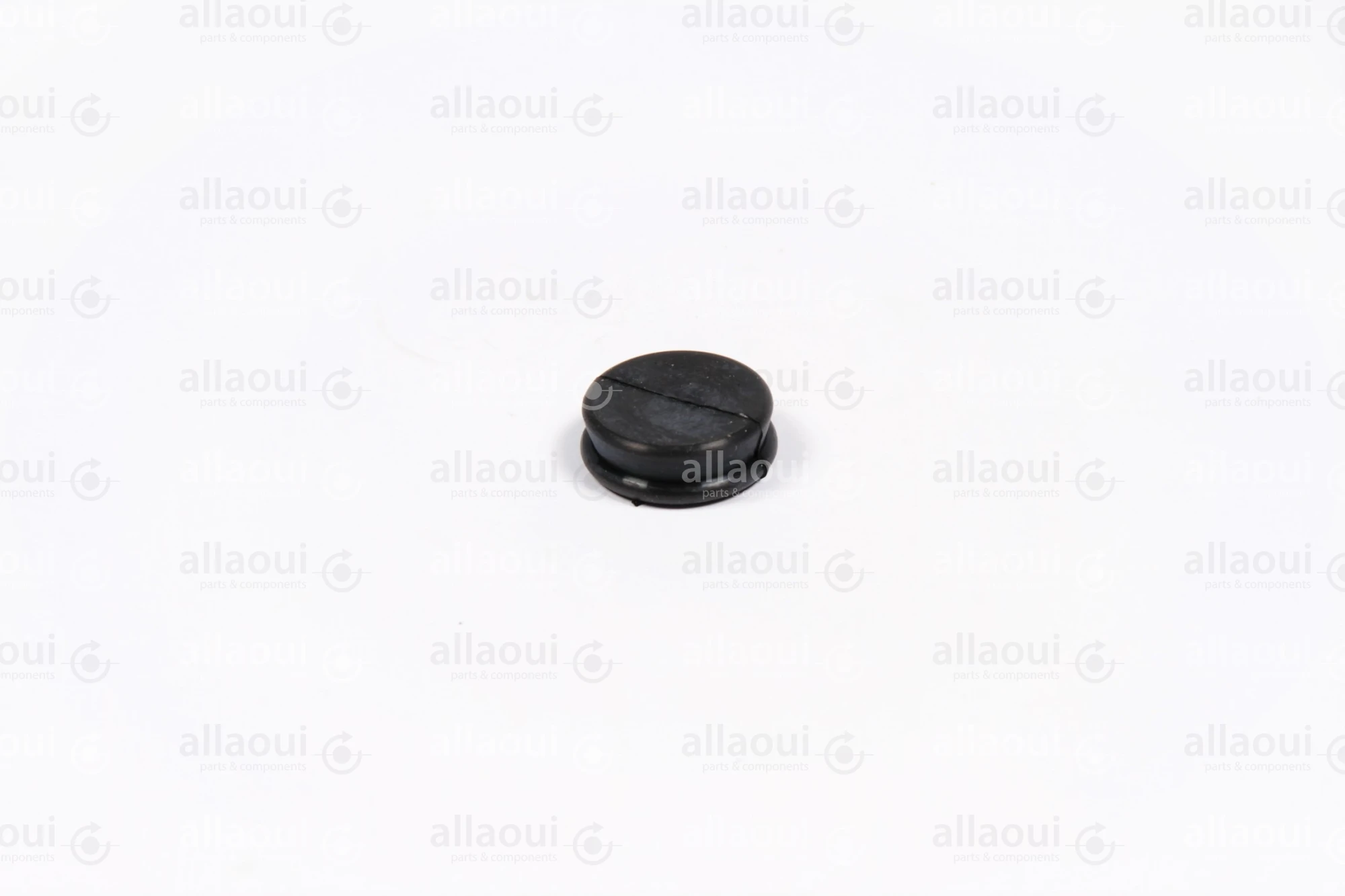 Manroland Sauger 80.21F30-0473 Manroland Sauger 80.21F30-0473