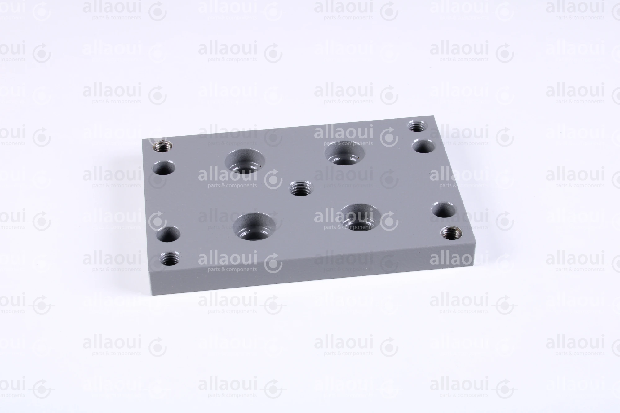 Polar Holder 282307 Polar Holder 282307