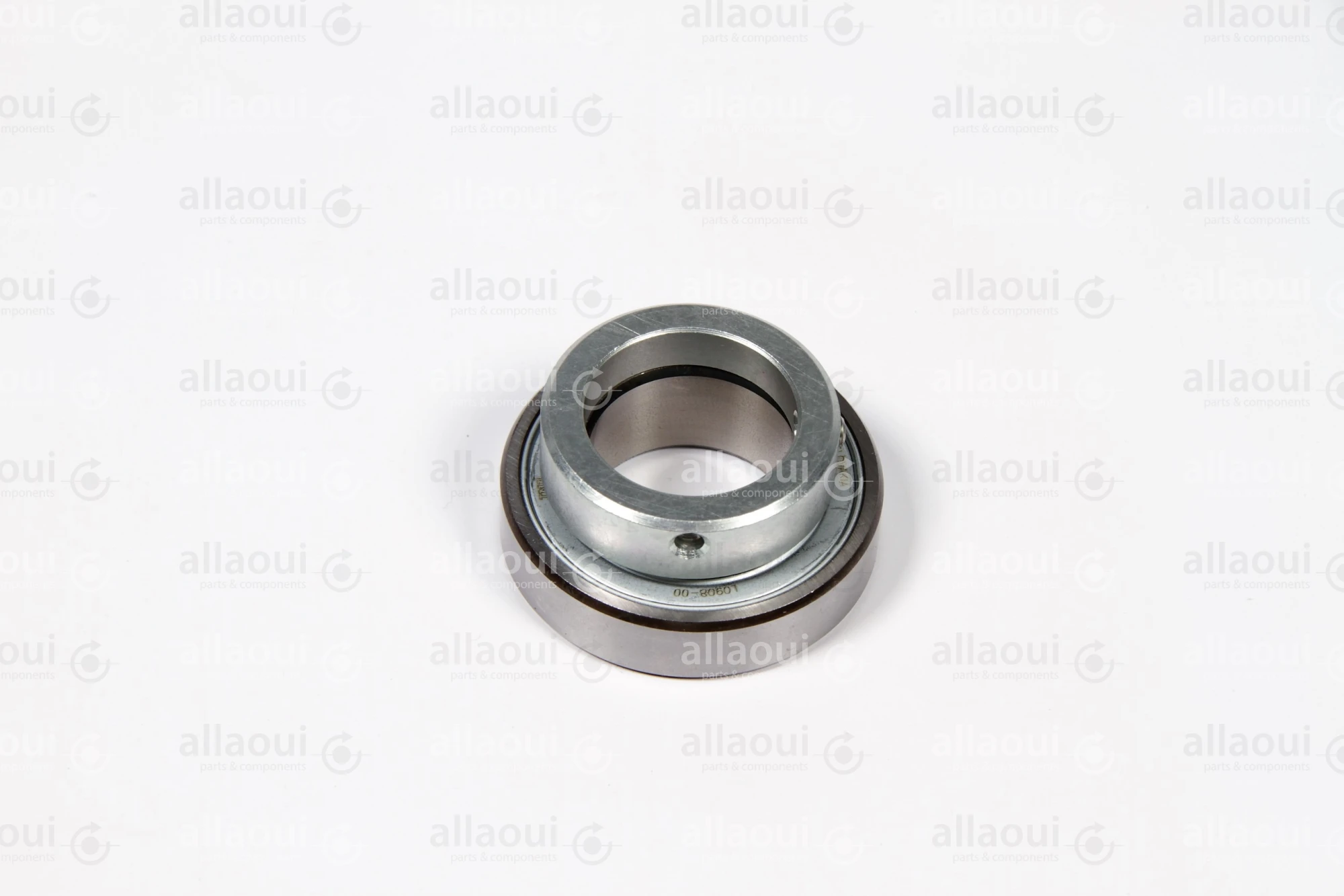 INA Bearing RALE30-NPP-FA106