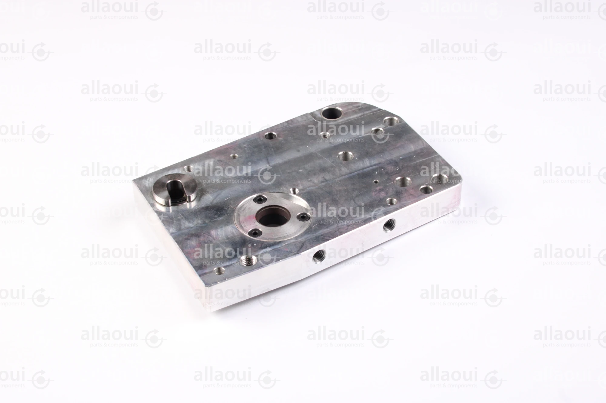Elektra Side Plate 8001868-00