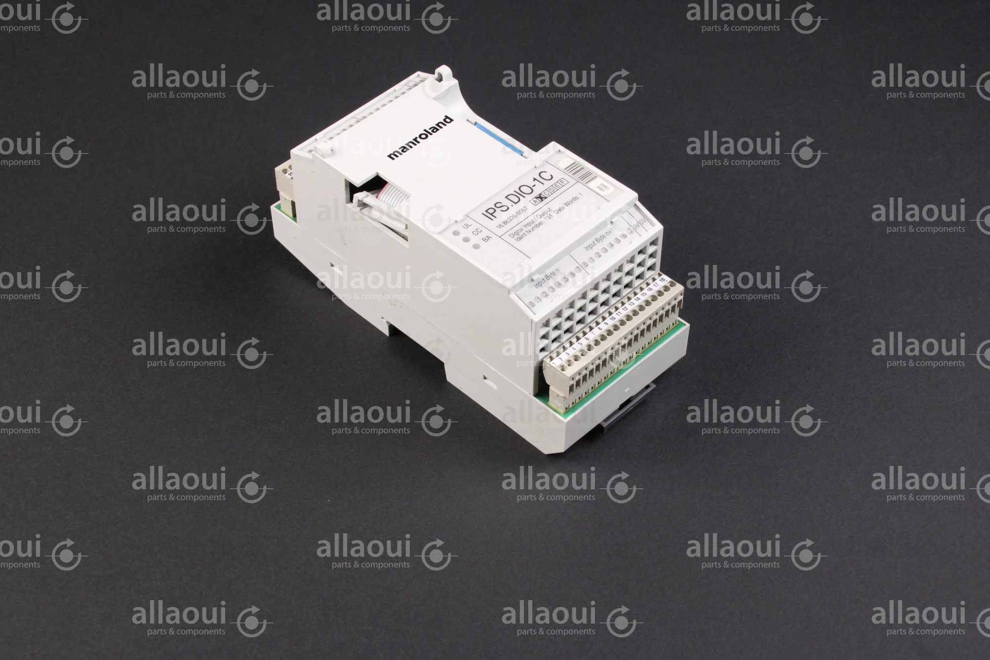 Manroland Interbus Module IPS.DIO-1C Manroland Interbus Module IPS.DIO-1C