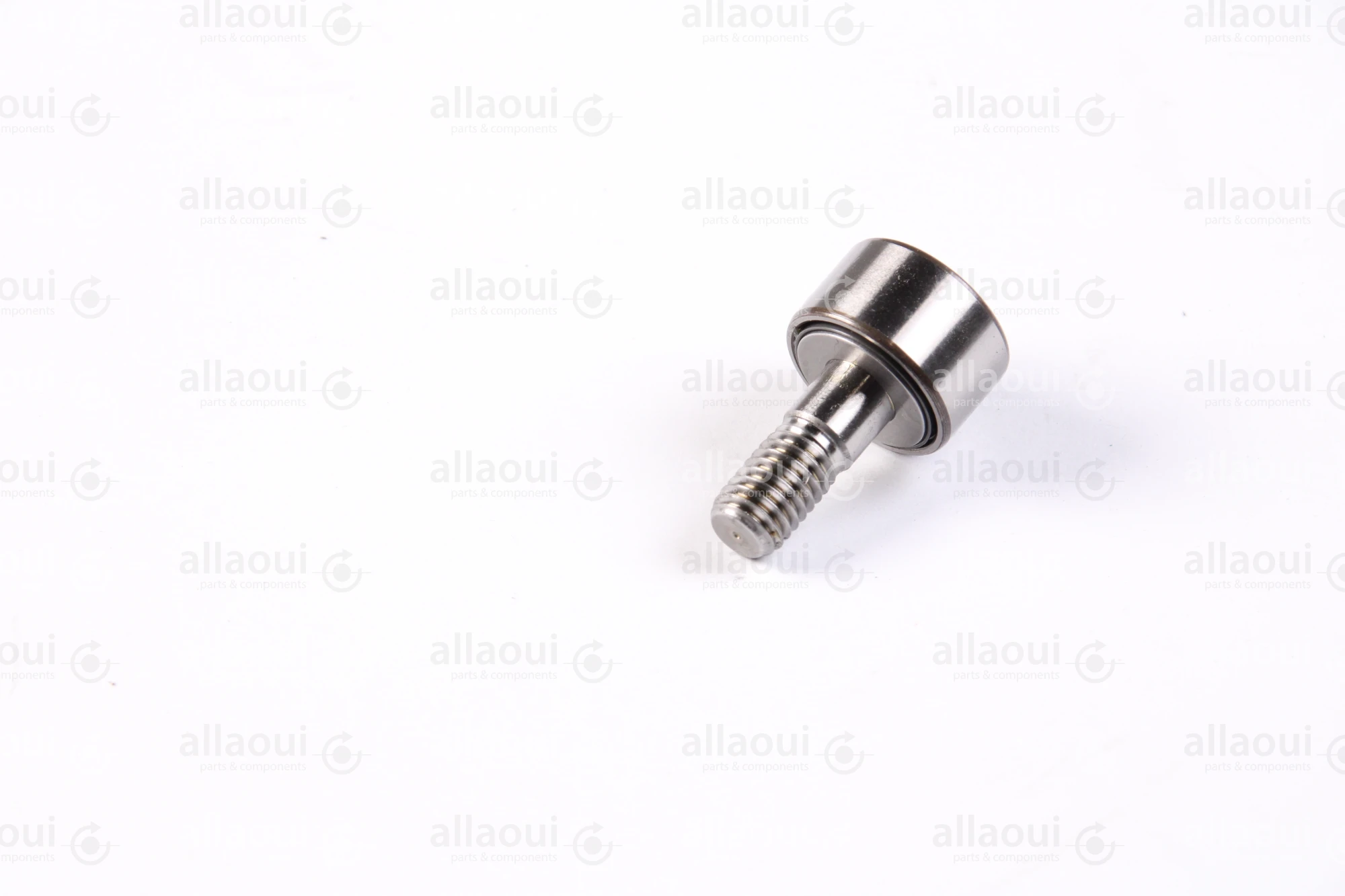INA Cam Roller KR19-X-PP-SK-A