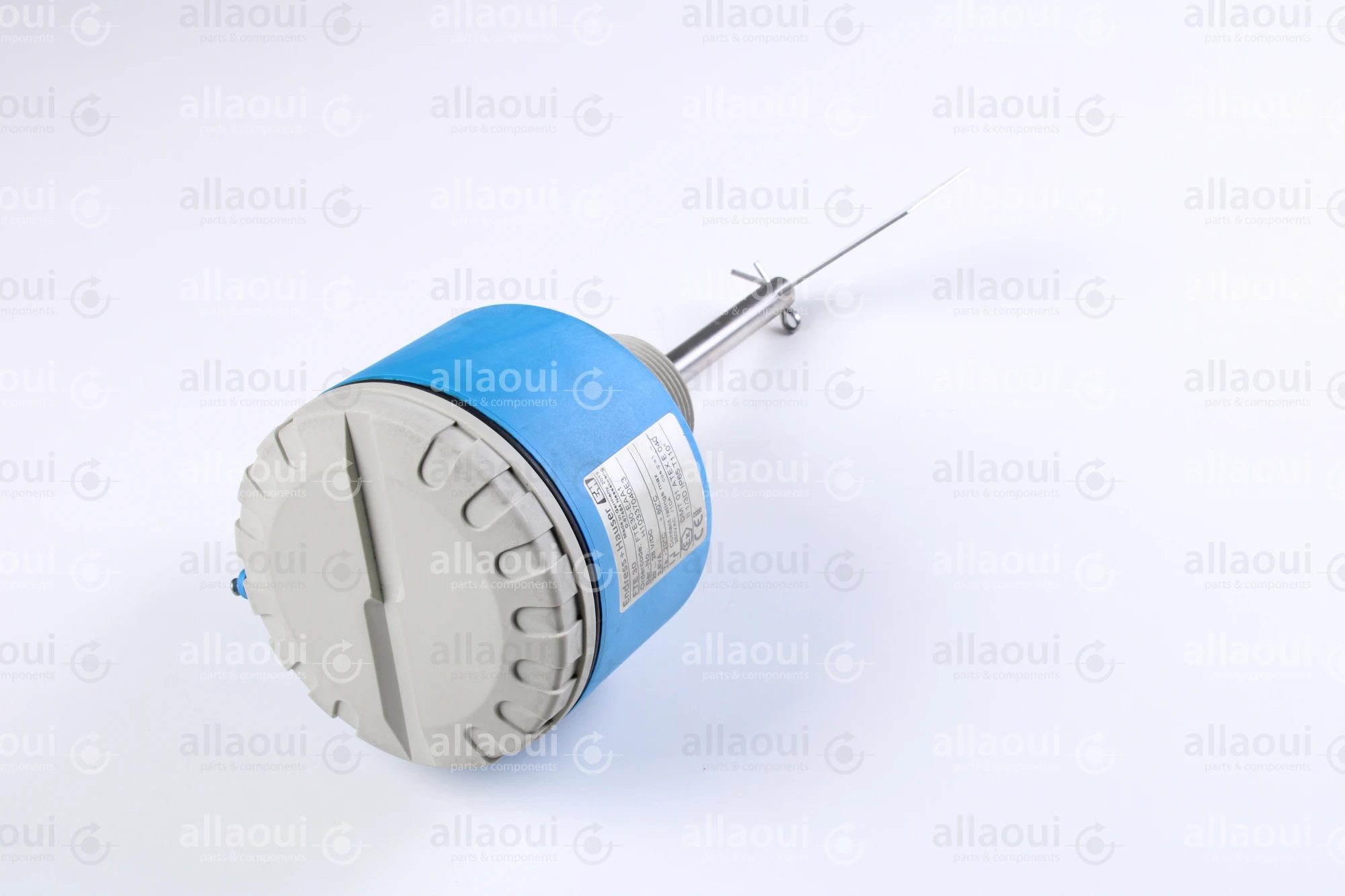 Endress-Hauser Point level switch Soliswitch FTE30 Endress-Hauser Point level switch Soliswitch FTE30