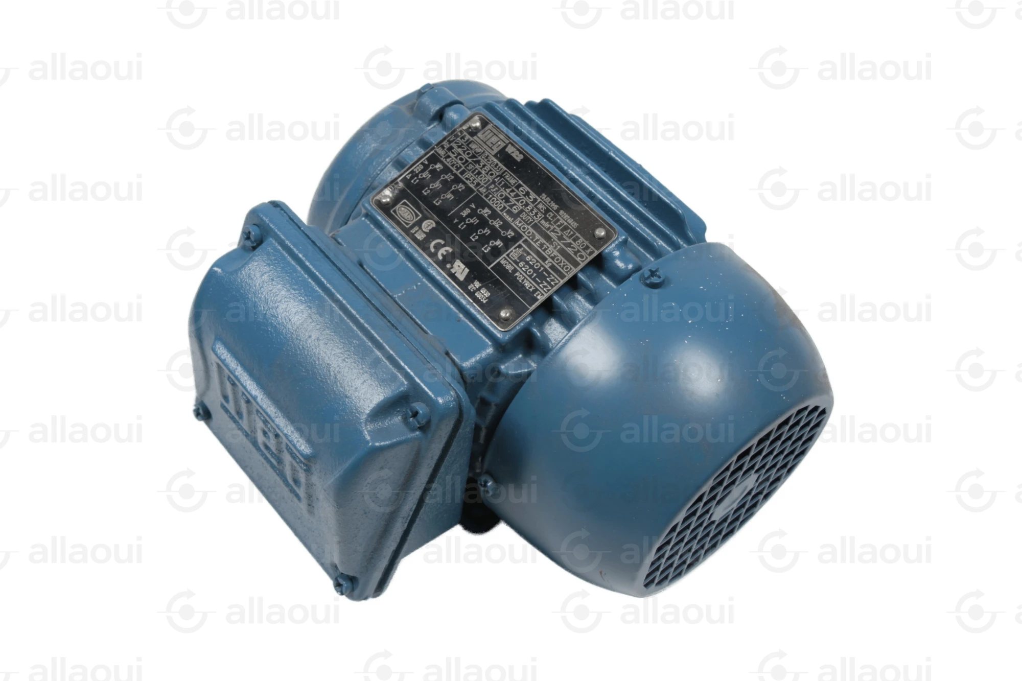 Weg Motor W22