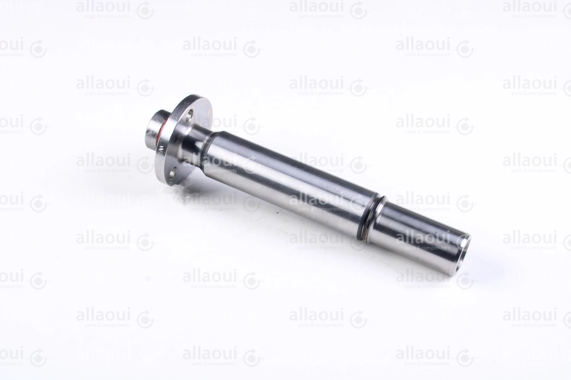 Heidelberg Journal F2.009.019 Heidelberg Journal F2.009.019