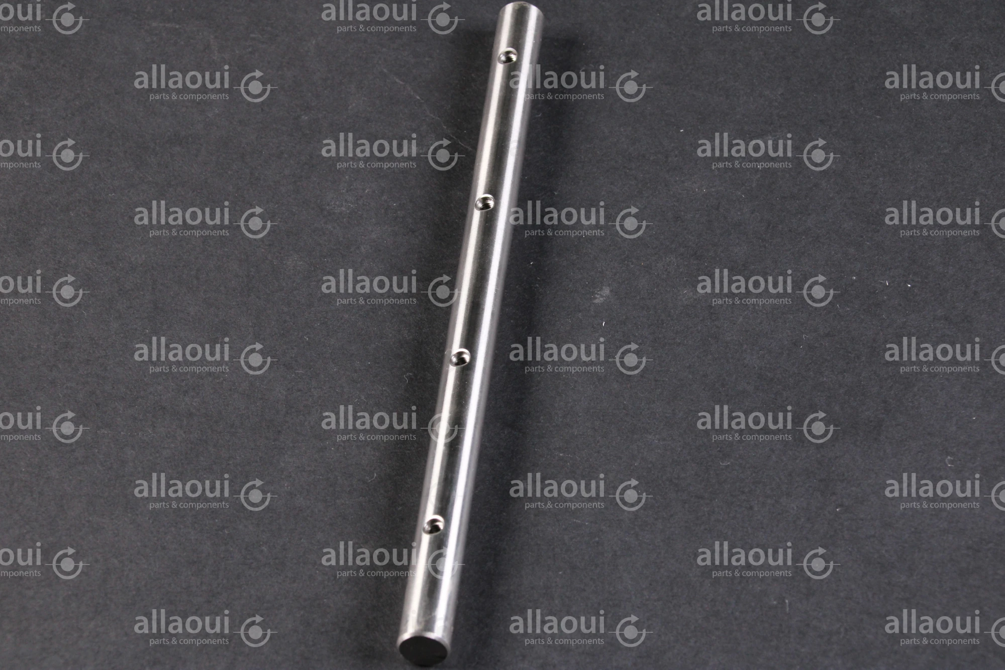 Polar Guide Shaft 0412097 Polar Guide Shaft 0412097