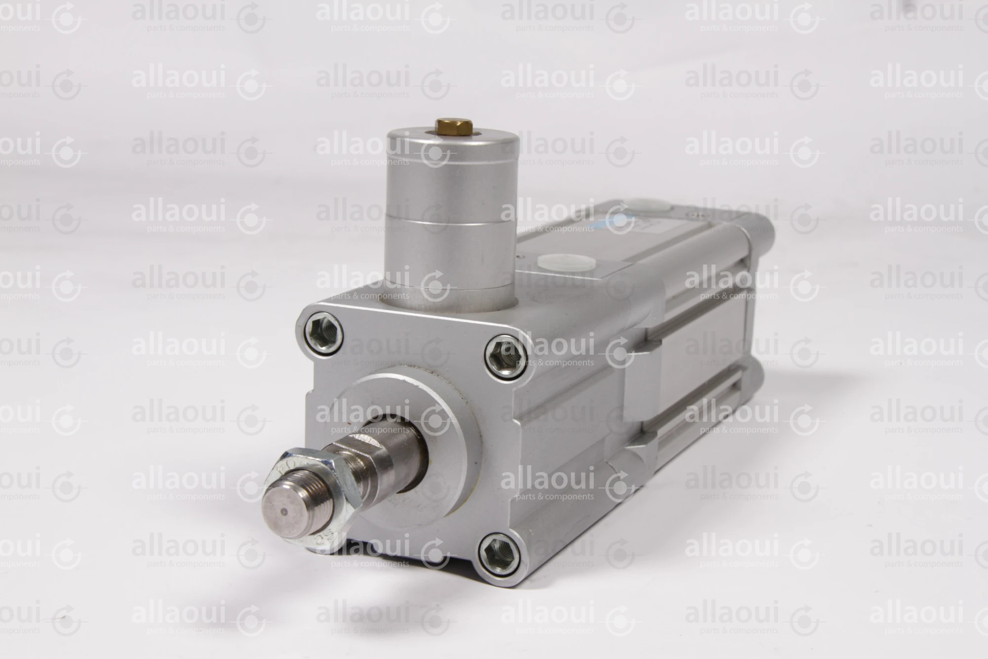 Festo Pneumatic Cylinder DNC-63-50-P-KP Festo Pneumatic Cylinder DNC-63-50-P-KP