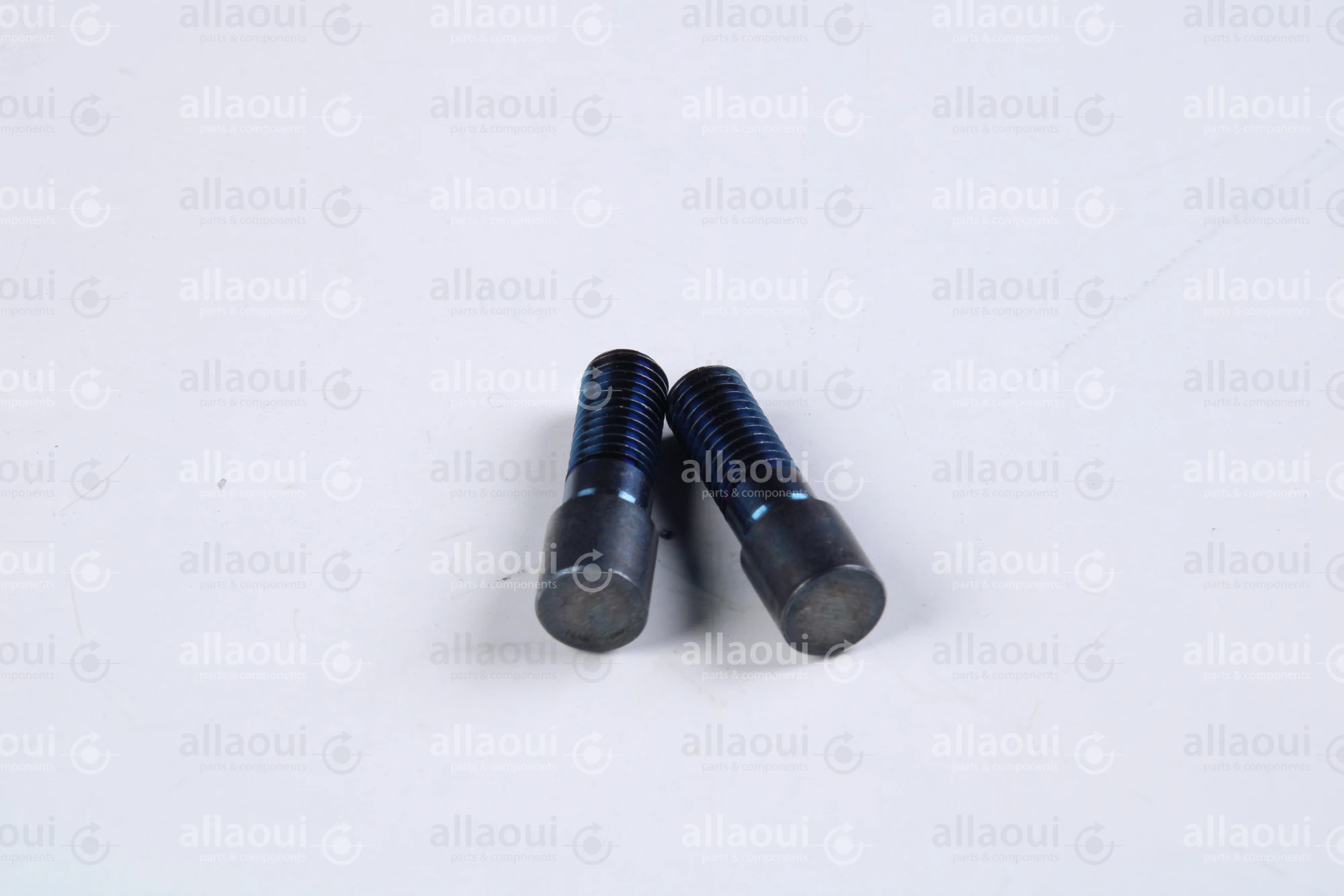 Müller Martini Bolt RD10X31 (2 Pieces) 0300.1614.4 (2 Stück) Müller Martini Bolt RD10X31 (2 Pieces) 0300.1614.4 (2 Stück)