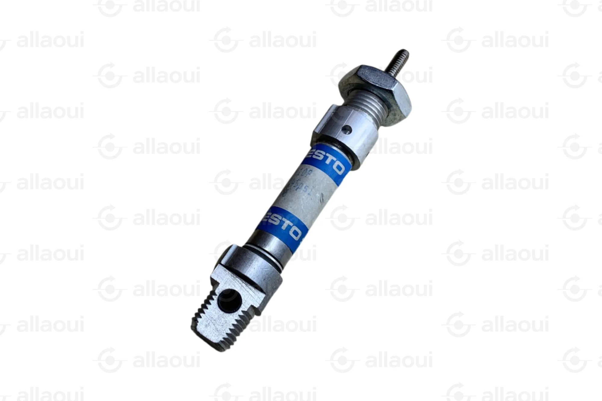 Festo Pneumatic Cylinder Standard 10 Bar ESN1010P