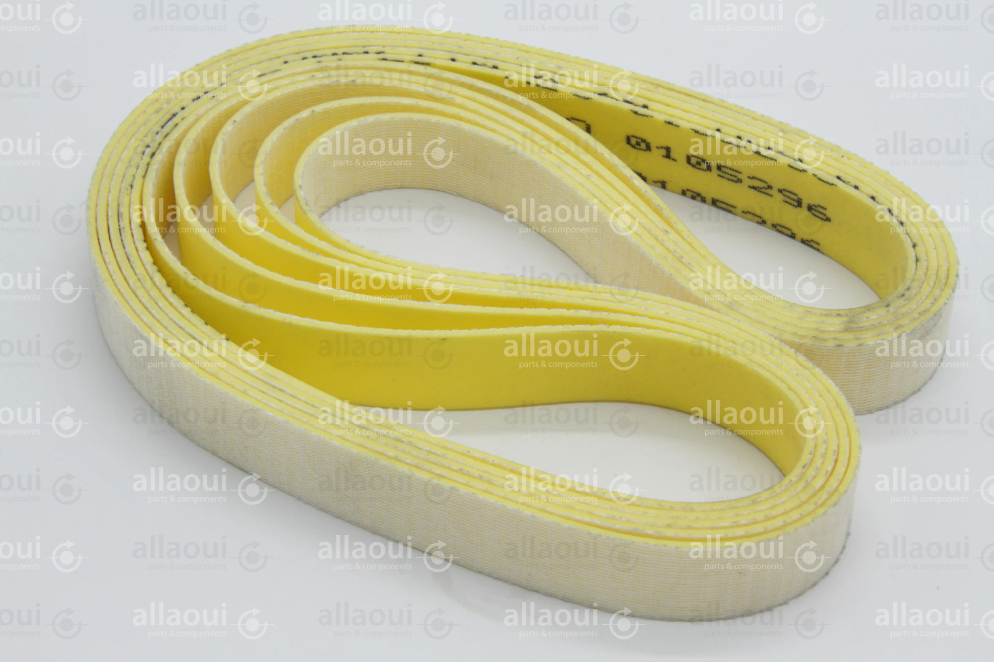 MBO Transport Belt 0105296 MBO Transport Belt 0105296