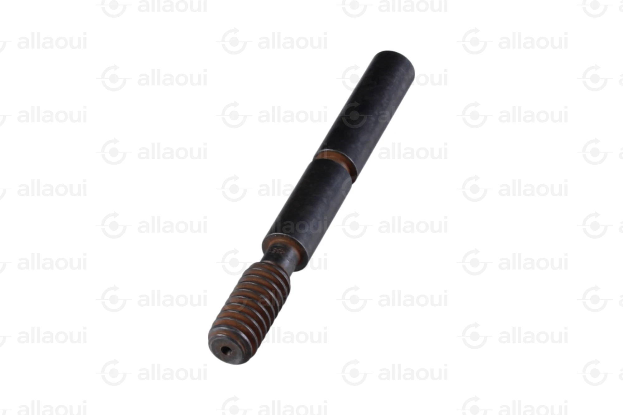 Manroland Worm 8008F302351