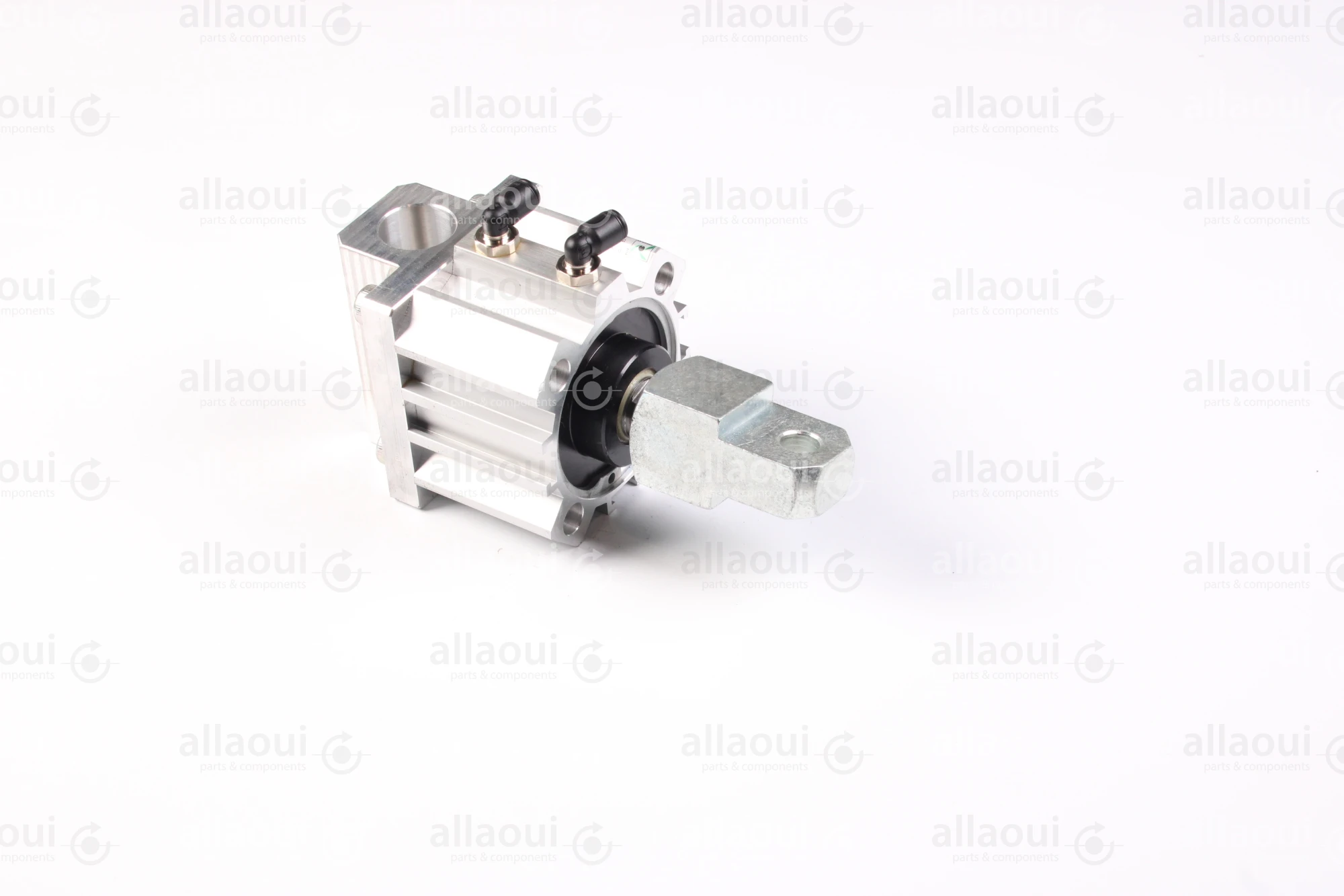 Elettra S.r.l Air Cylinder 1026650-00 Elettra S.r.l Air Cylinder 1026650-00