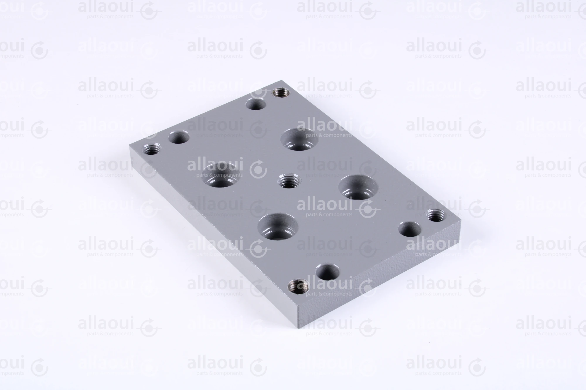 Polar Holder 282307 Polar Holder 282307