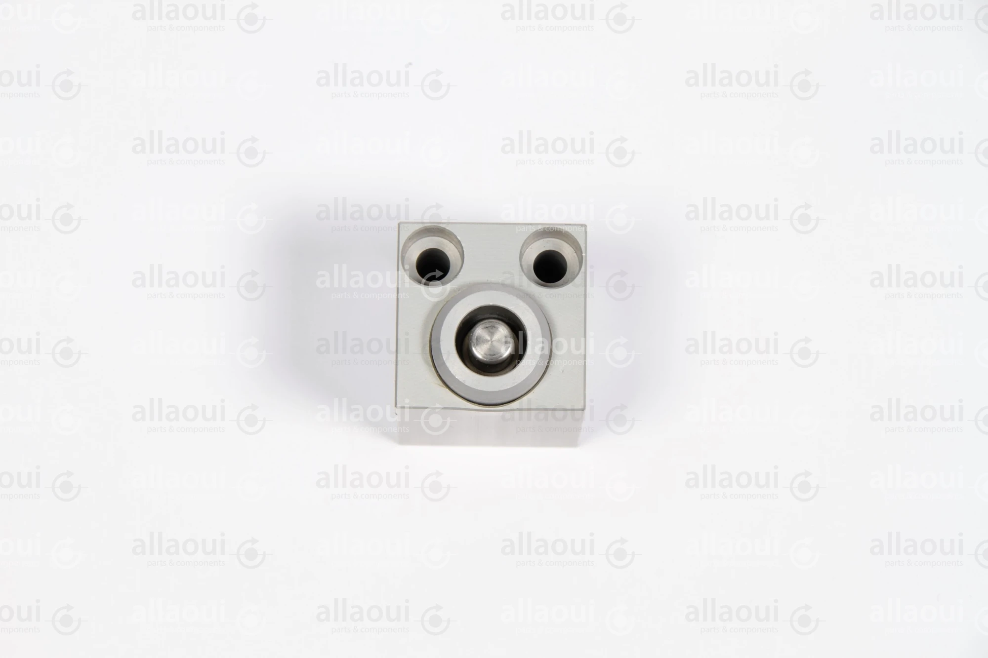 Baldwin Pneumatik Cylinder 00788706 Baldwin Pneumatik Cylinder 00788706