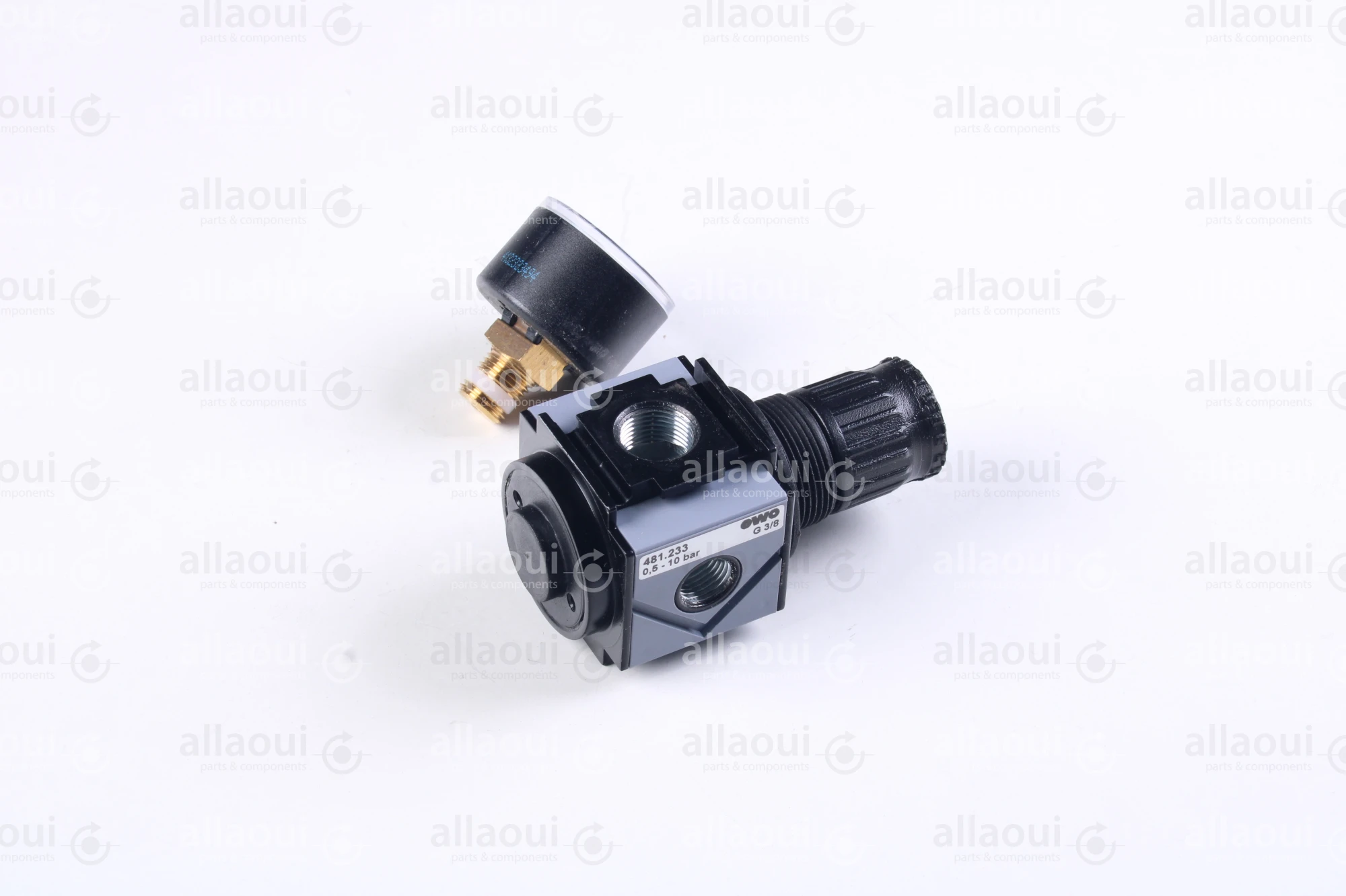 EWO Pressure Regulator 481.233 EWO Pressure Regulator 481.233