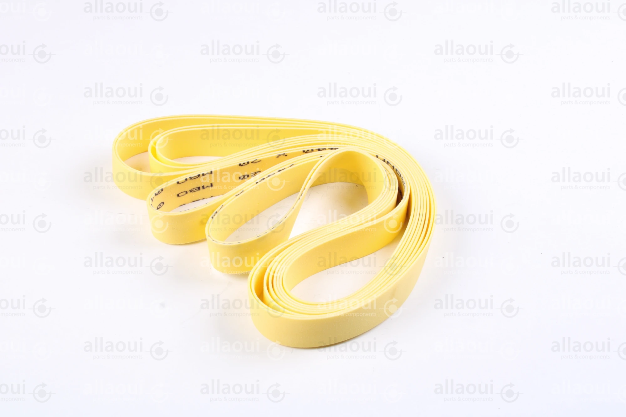MBO Belt (2 Pieces) 0105909 MBO Belt (2 Pieces) 0105909