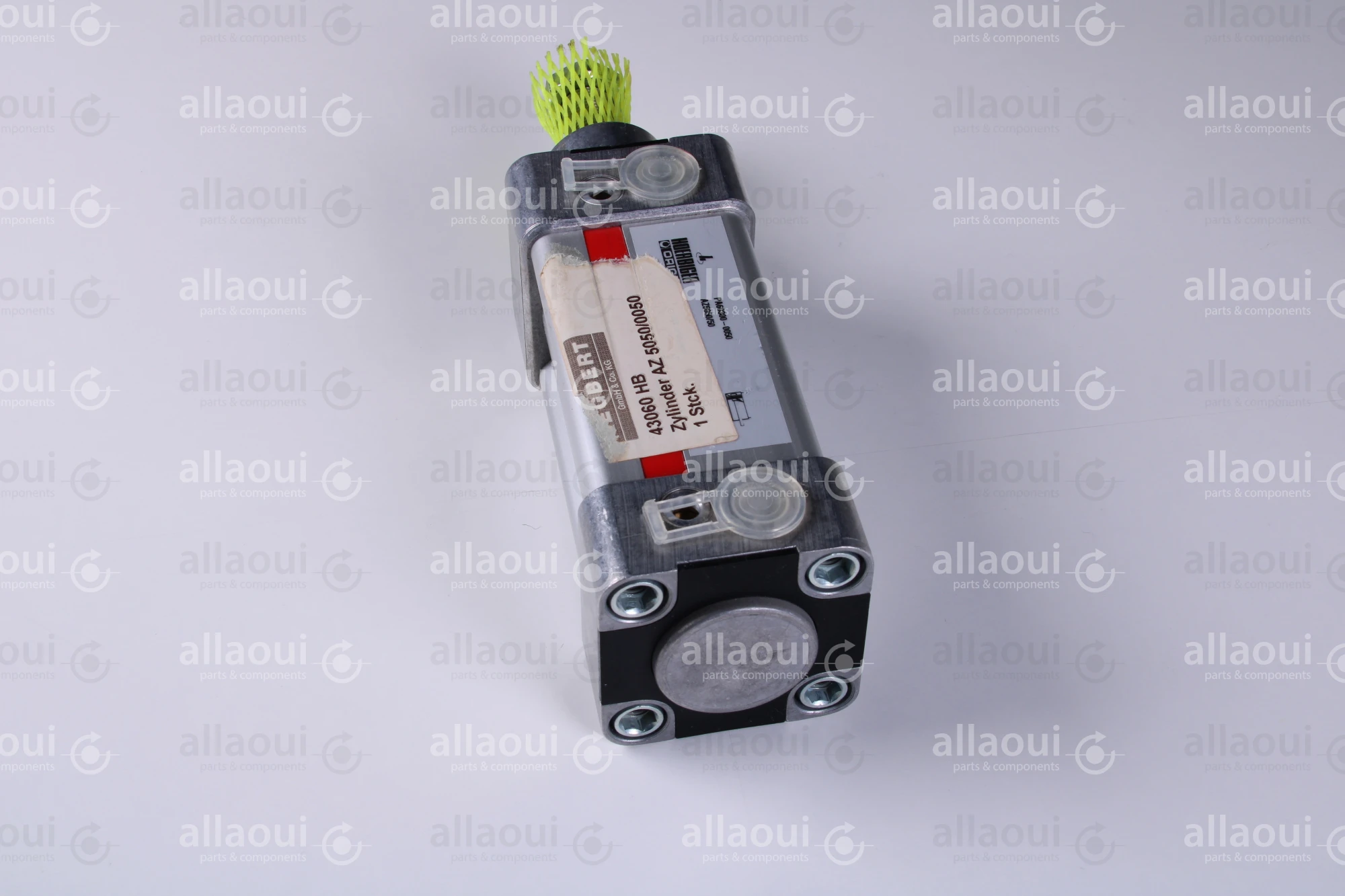 Segbert Pneumatic Cylinder AZ 5050/00050 43060 HB
