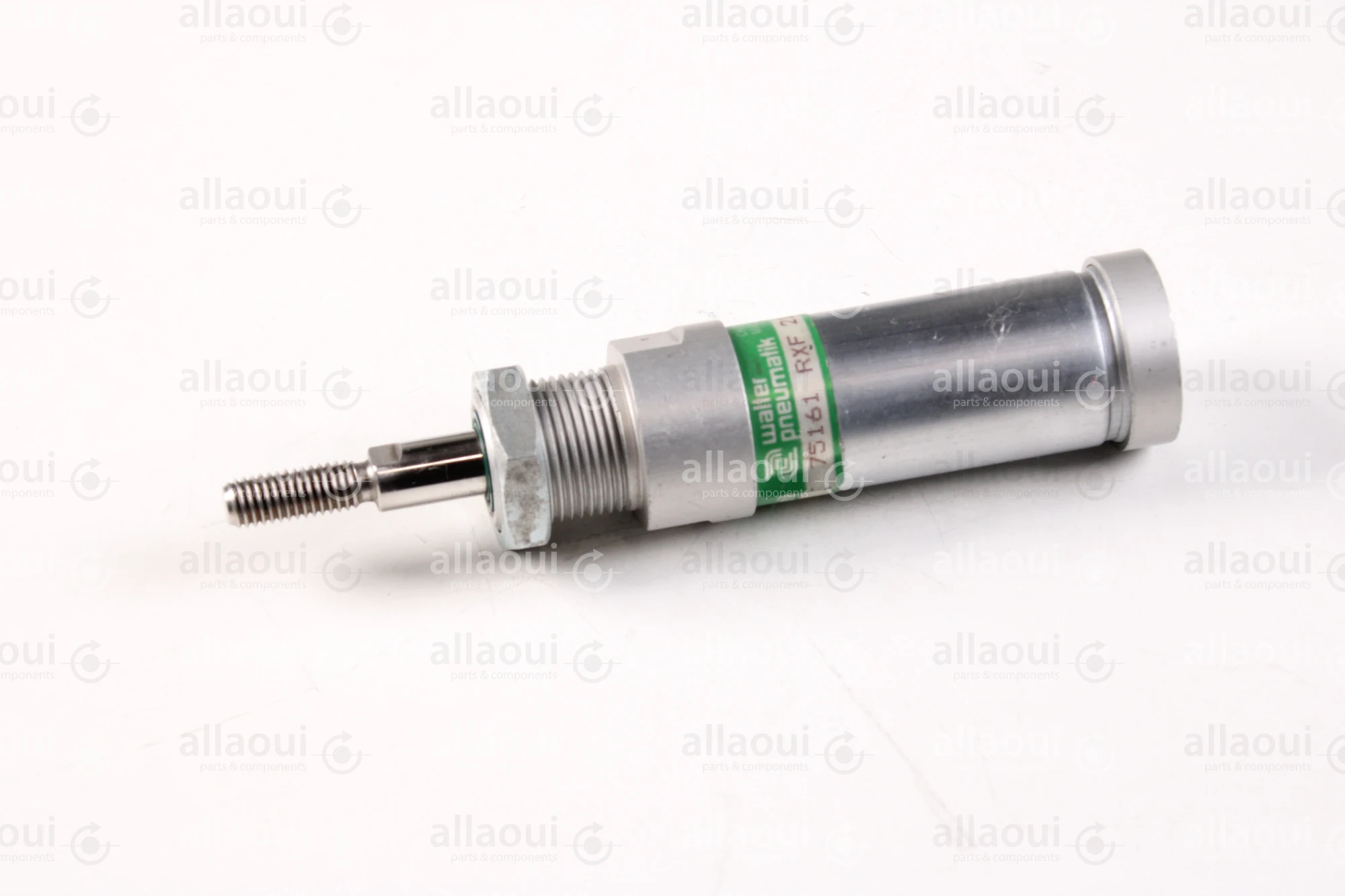 Walter Pneumatik Pneumatic Cylinder RXF-21-25-25-006 Walter Pneumatik Pneumatic Cylinder RXF-21-25-25-006