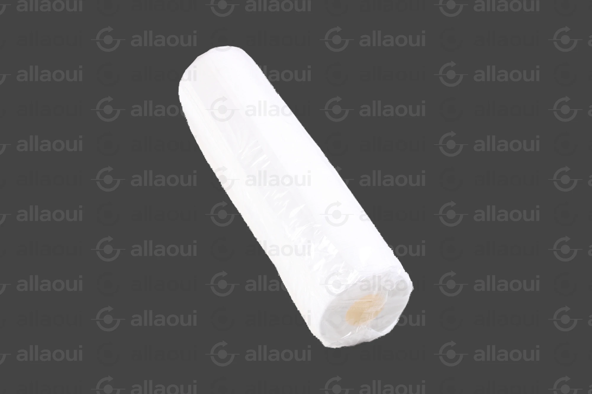 Technotrans Filter 058910901