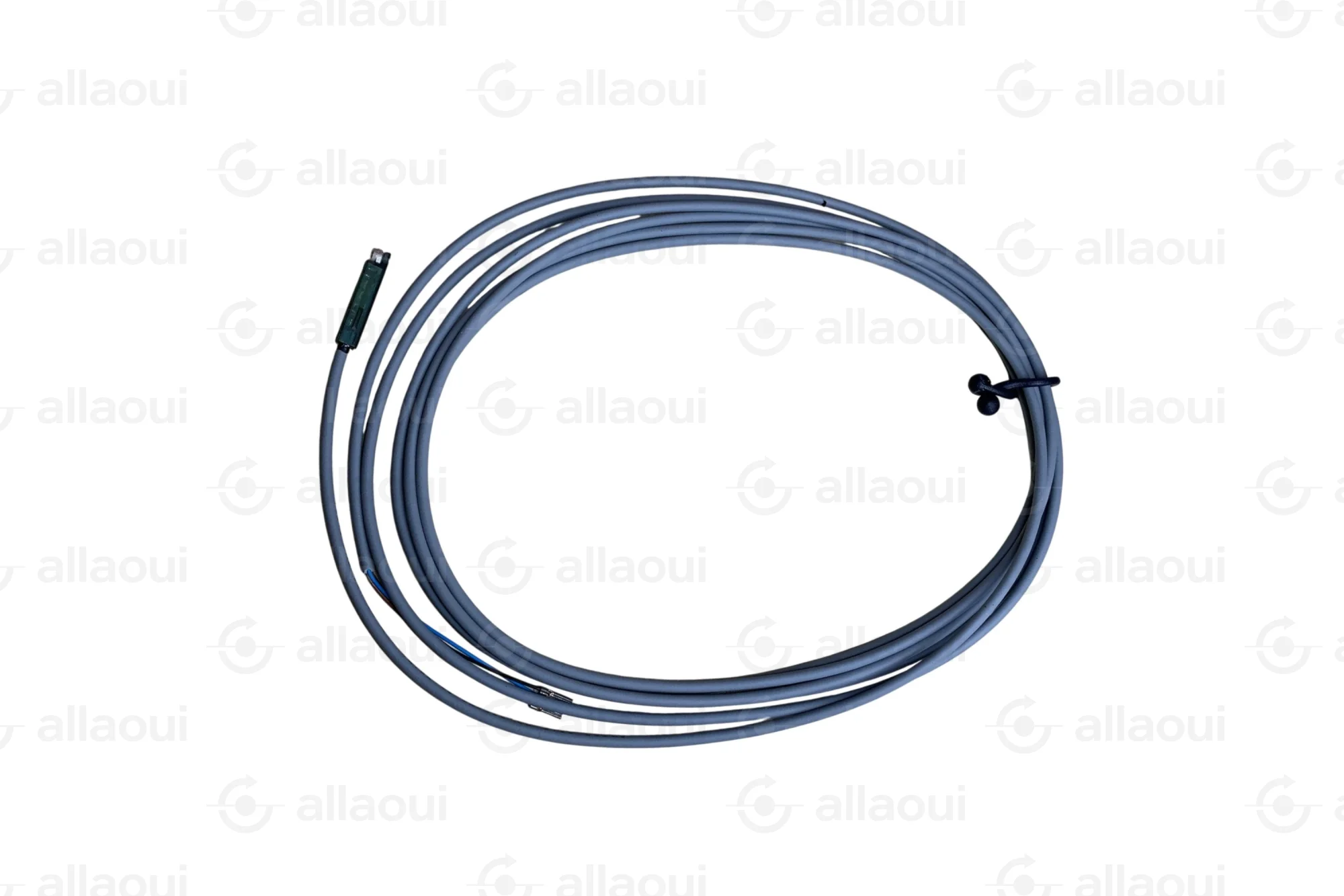 Festo Festo SME-10F-DS-24V-K2 525913 Festo Festo SME-10F-DS-24V-K2 525913