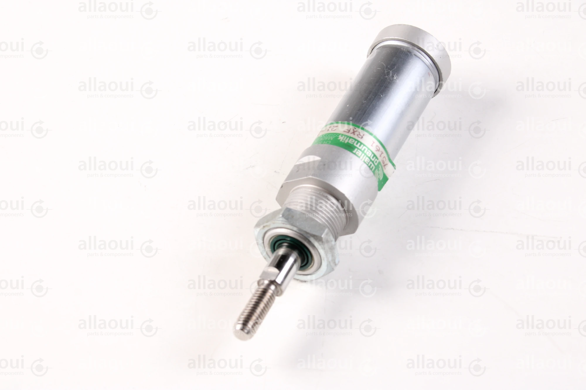 Walter Pneumatik Pneumatic Cylinder RXF-21-25-25-006 Walter Pneumatik Pneumatic Cylinder RXF-21-25-25-006