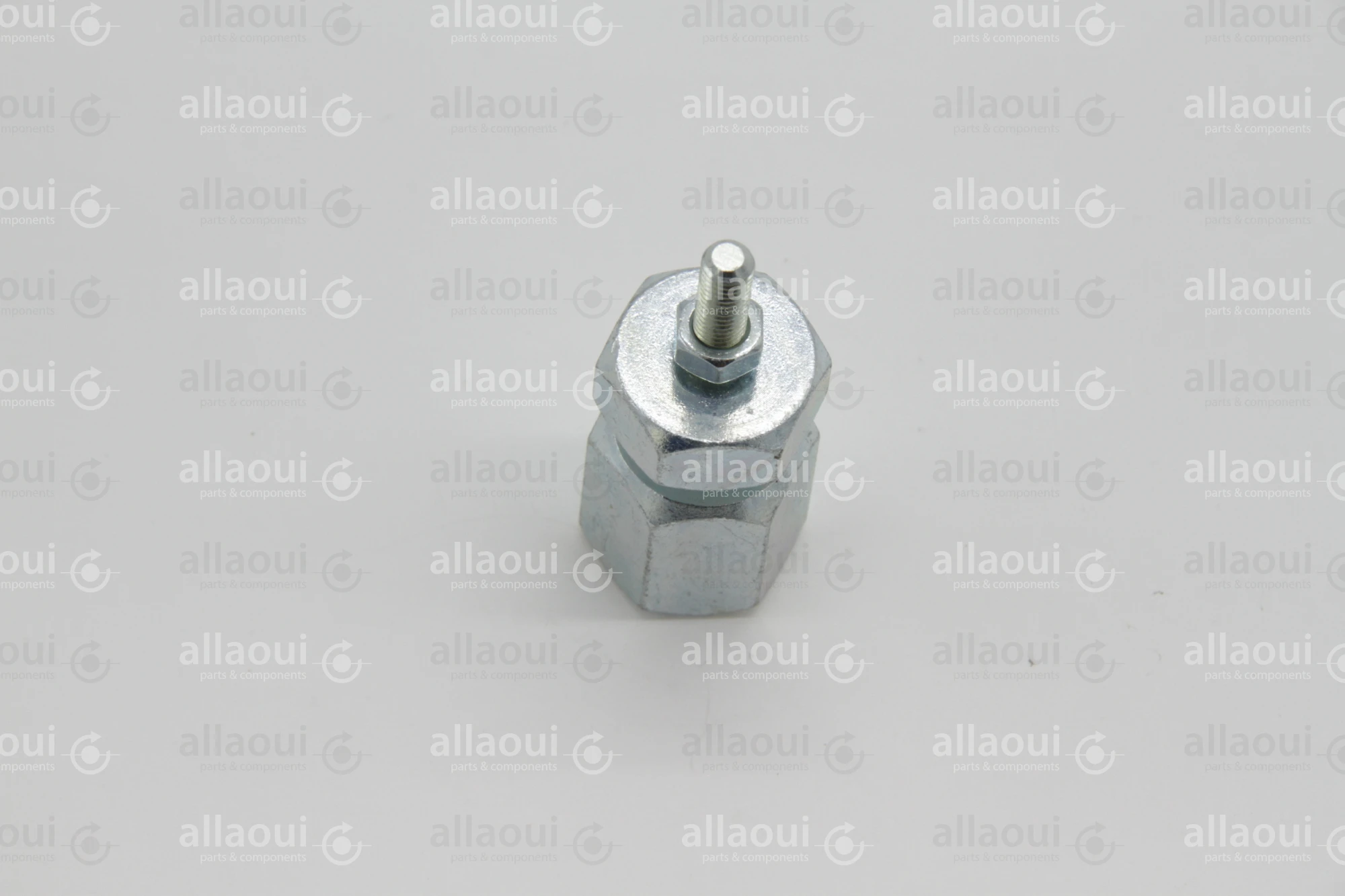 Heidelberg Adjustment nut cpl. incl. screw FH.1374960/00