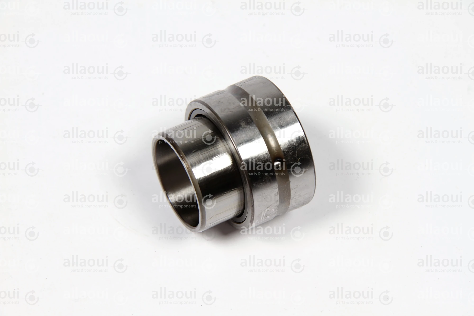INA Roller Bearing NKI25/20 INA Roller Bearing NKI25/20