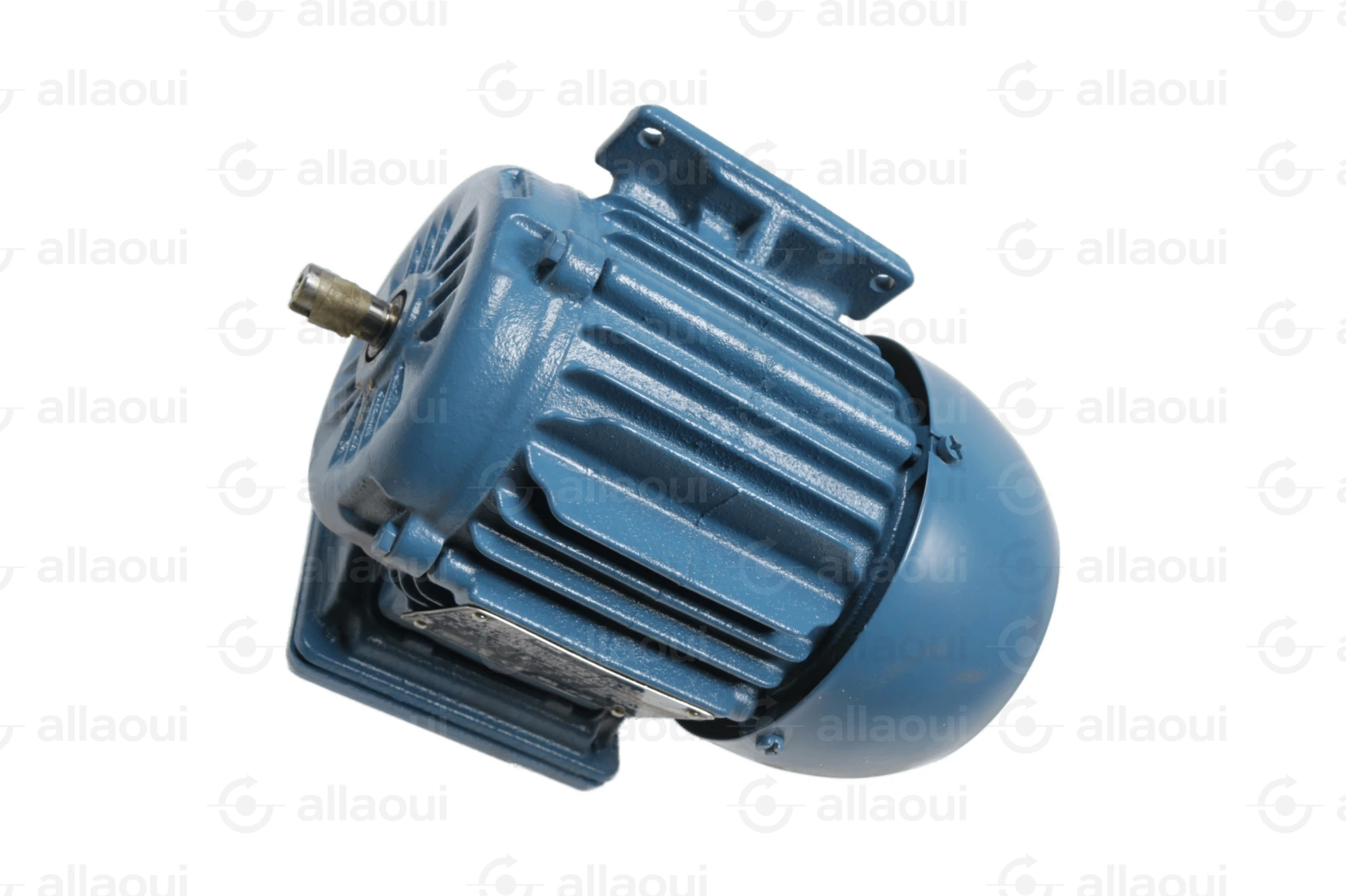 Weg Motor W22
