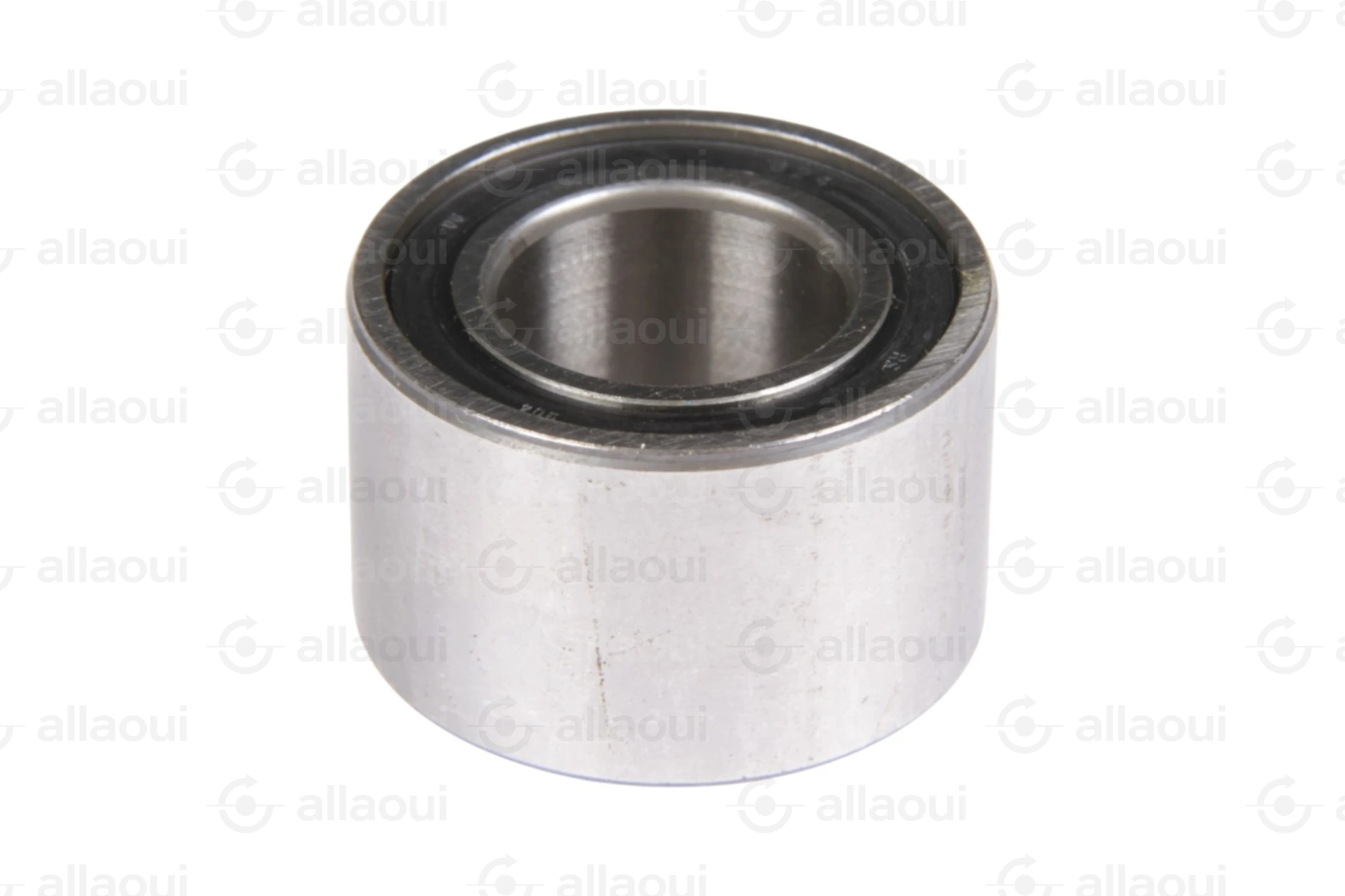 INA Bearing