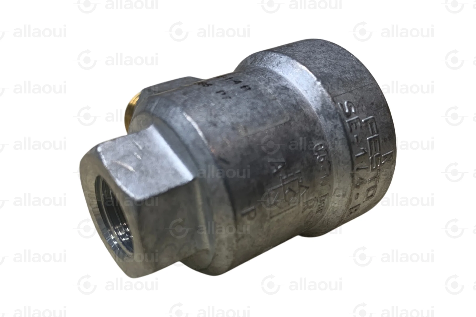 Contiweb Rapid Ventilating Valve G 1/4" WH.090255026 Contiweb Rapid Ventilating Valve G 1/4" WH.090255026