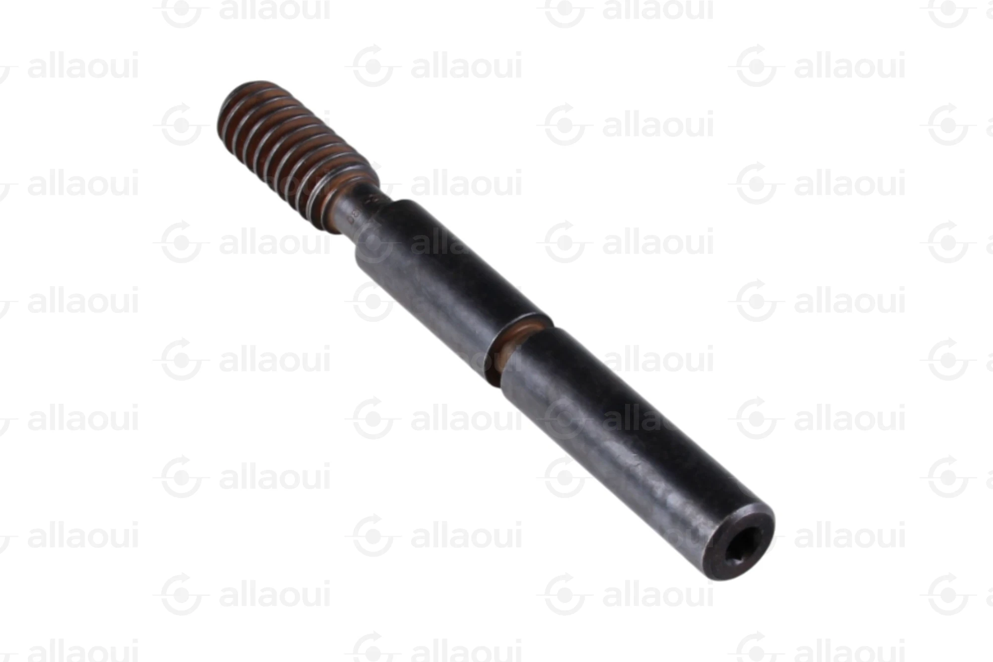 Manroland Worm 8008F302351