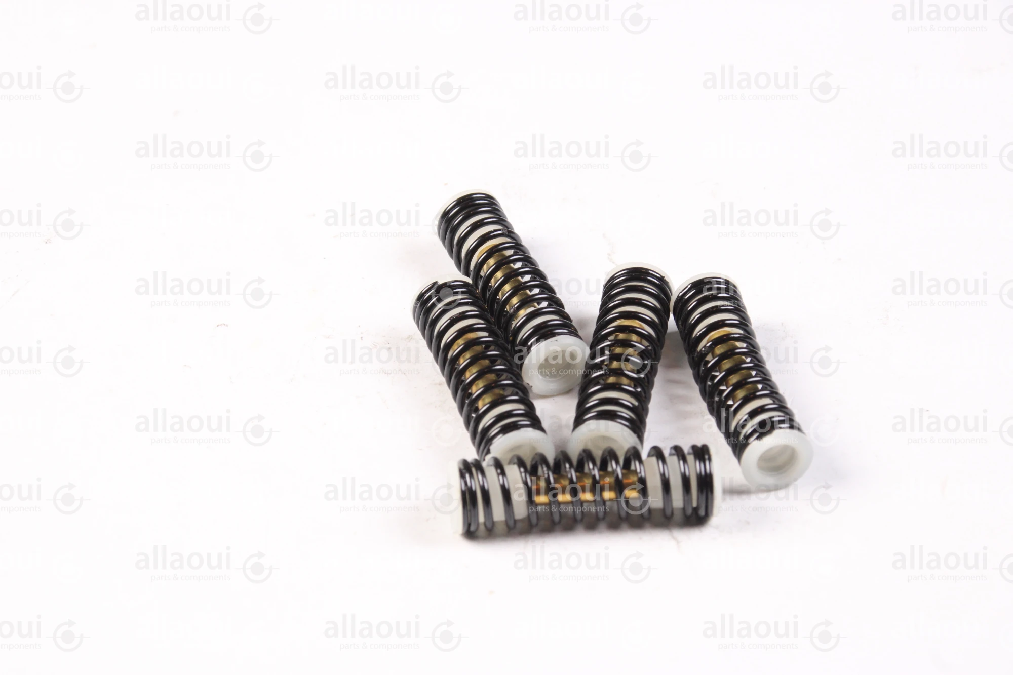 Technotrans Spring TTS-Paint Valve (5 Pieces) 0011205 Technotrans Spring TTS-Paint Valve (5 Pieces) 0011205