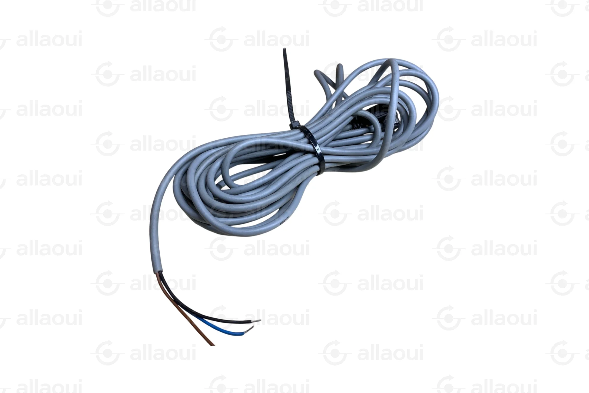 Festo Sensor-Actuator Connecting Cable M8 5m 3-pin 159425 Festo Sensor-Actuator Connecting Cable M8 5m 3-pin 159425
