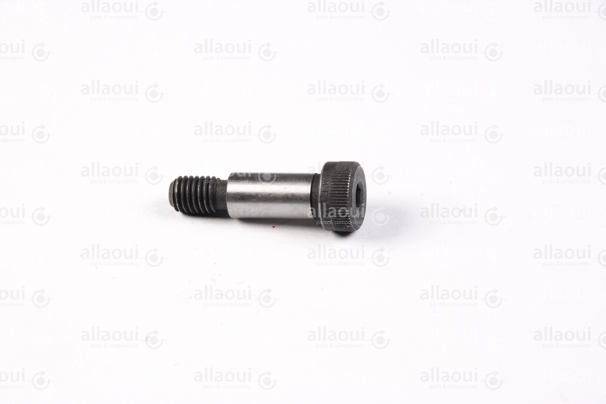 Elettra Air Cylinder Screw 9000065-03 Elettra Air Cylinder Screw 9000065-03