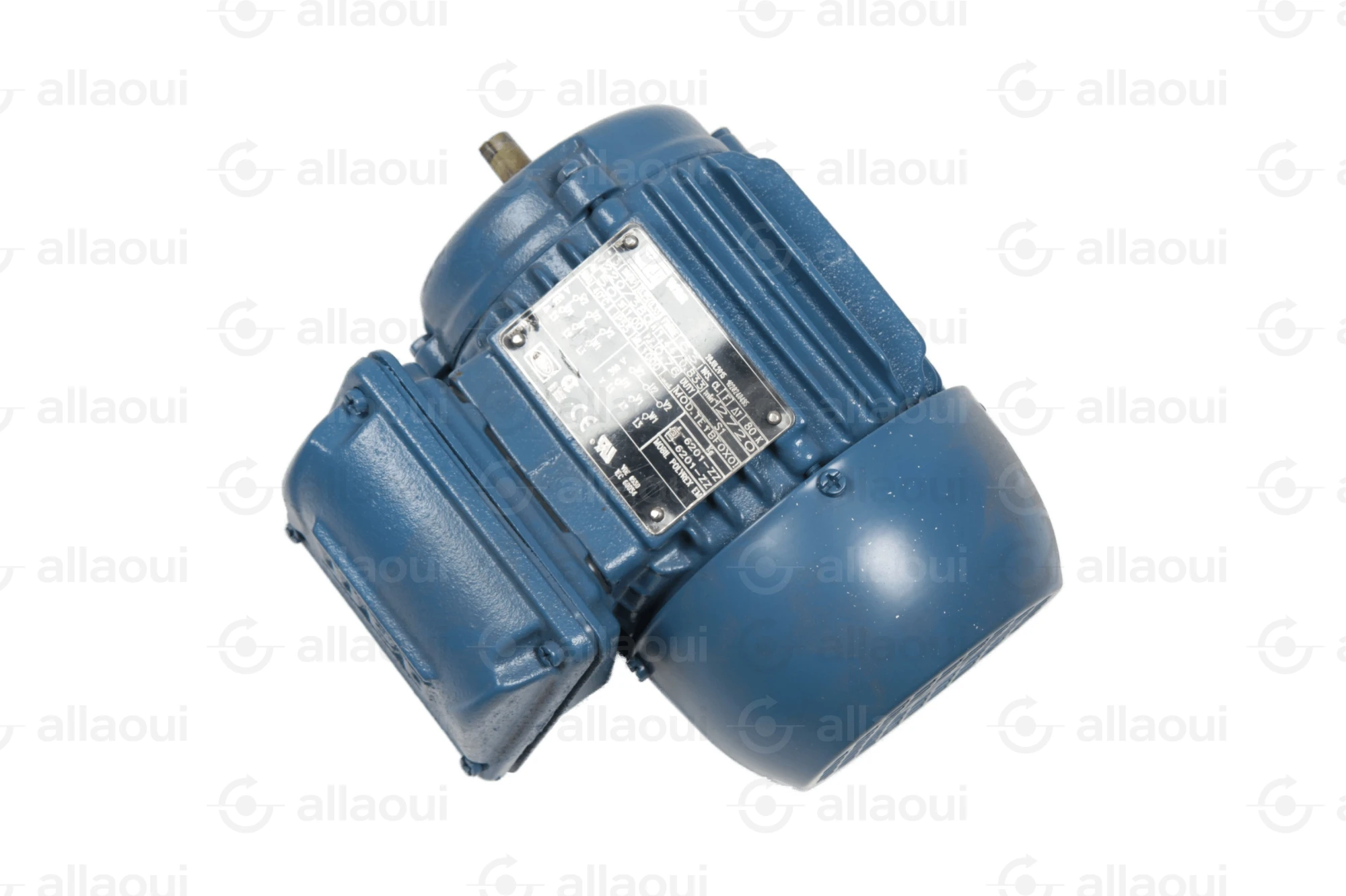 Weg Motor W22