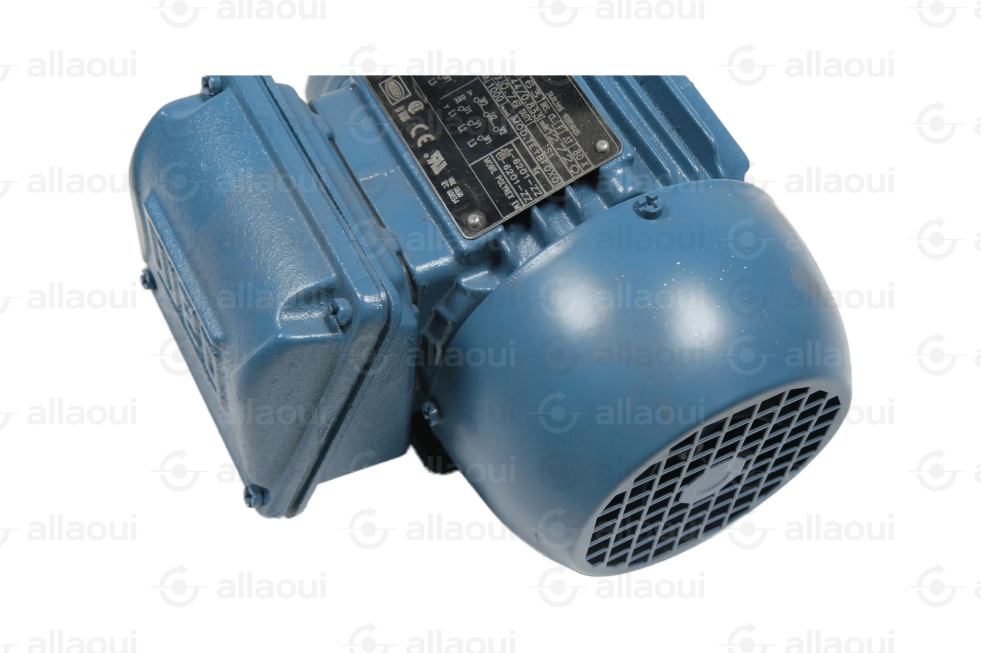 Weg Motor W22 Weg Motor W22