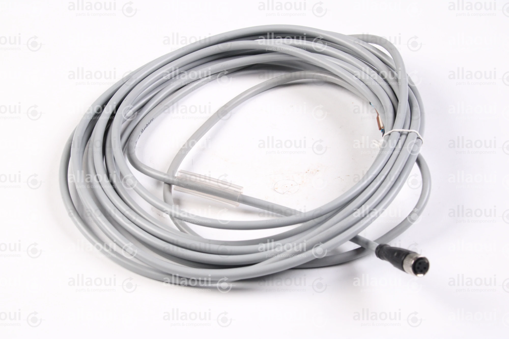 PEPPERL+FUCHS Female cordset V31-GM-5M-PVC PEPPERL+FUCHS Female cordset V31-GM-5M-PVC