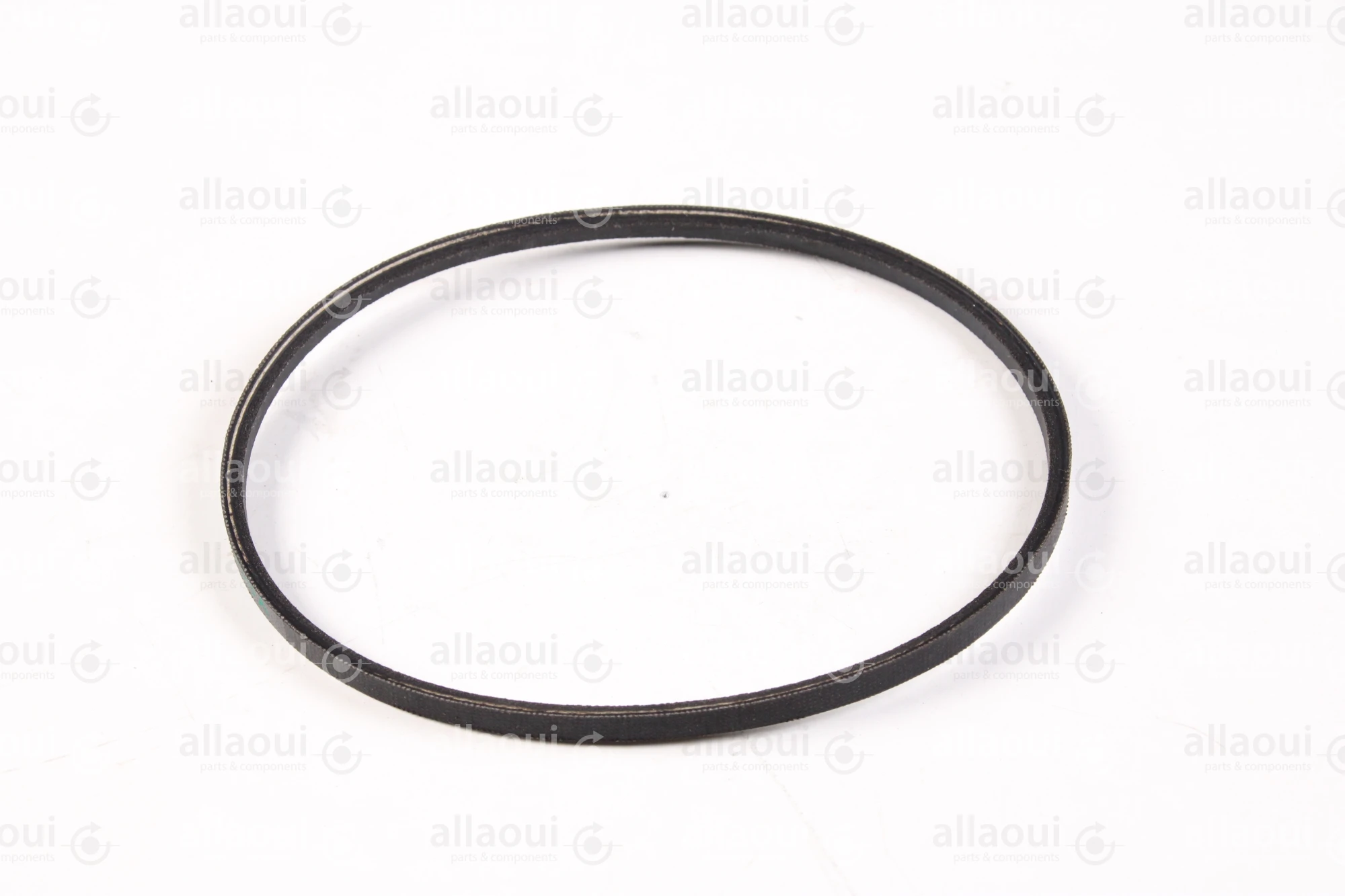 ContiTech V-Belt Y06032008