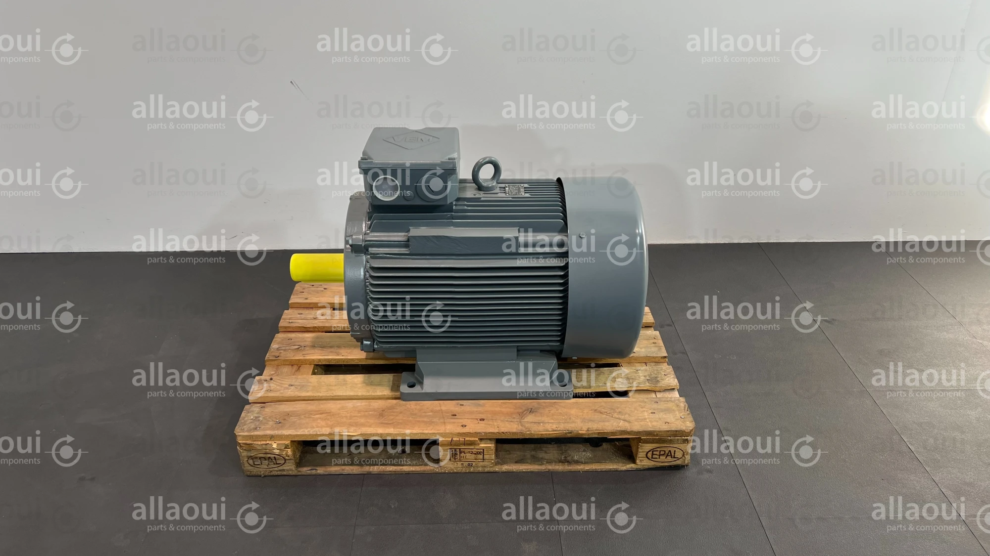 VEM Motor IE2-WE1R 280M 4 LL TPM HW VEM Motor IE2-WE1R 280M 4 LL TPM HW