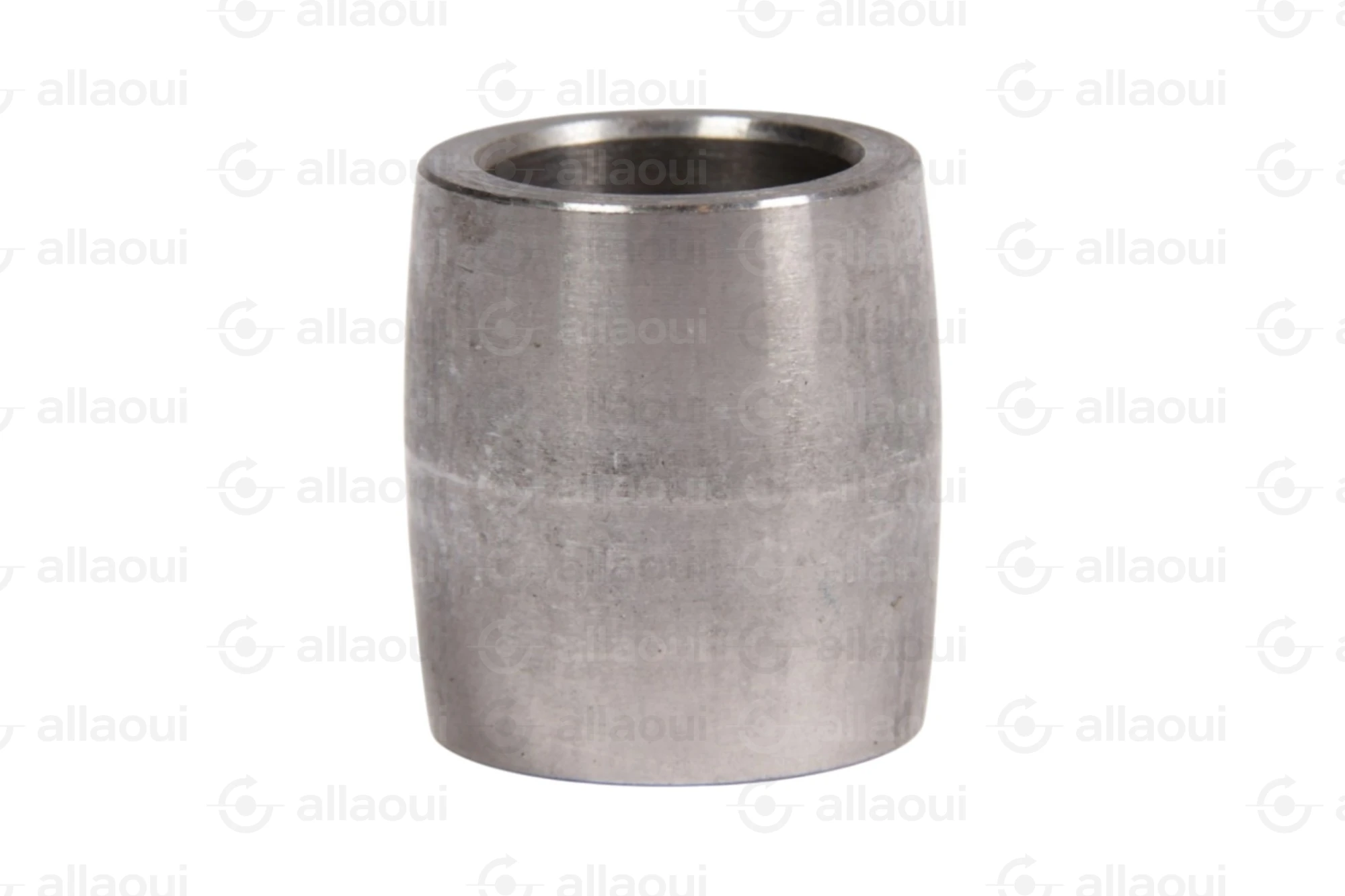 Manroland Pulley 16.31273-0017