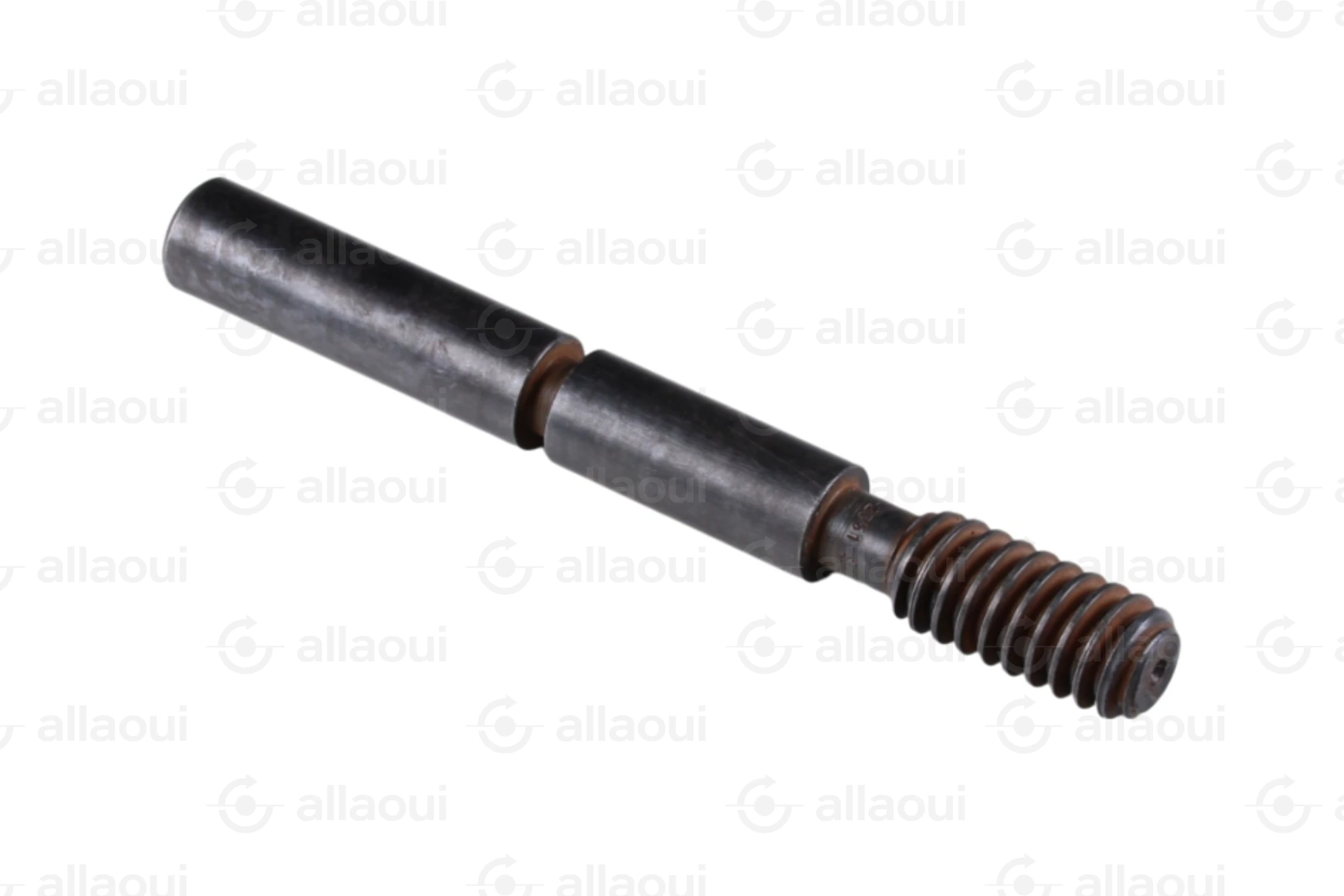 Manroland Worm 8008F302351