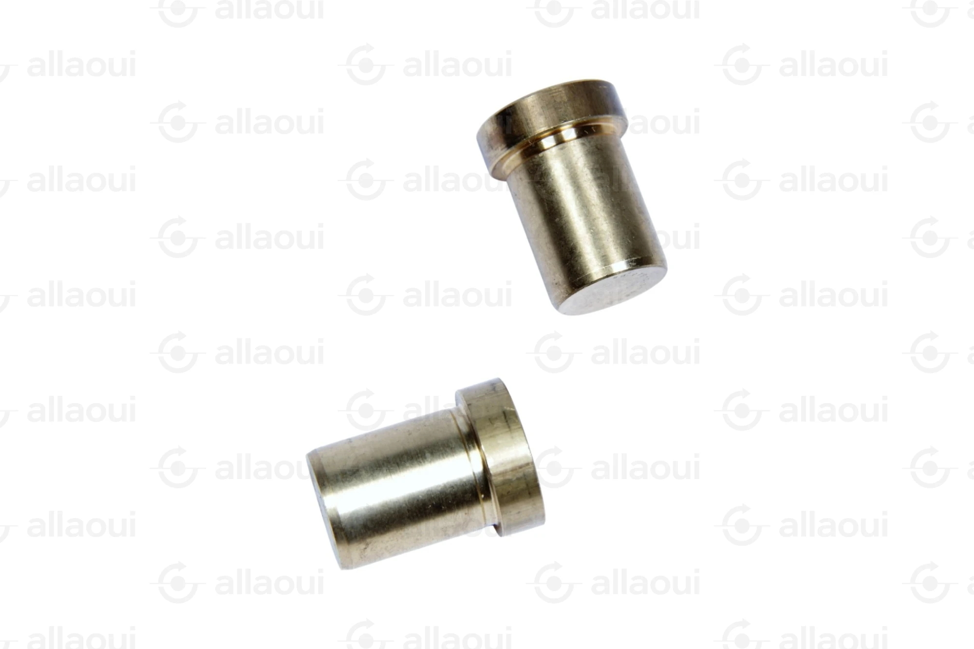 Manroland 007G315613 007G315613