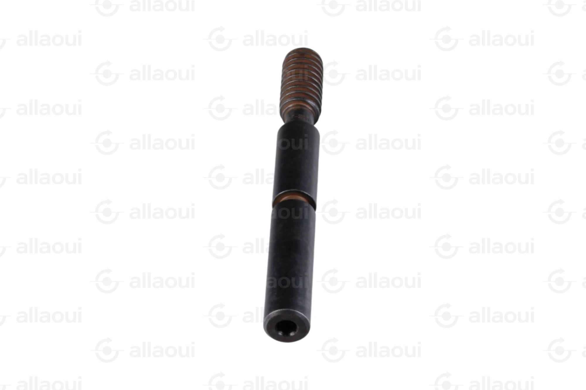 Manroland Worm 8008F302351