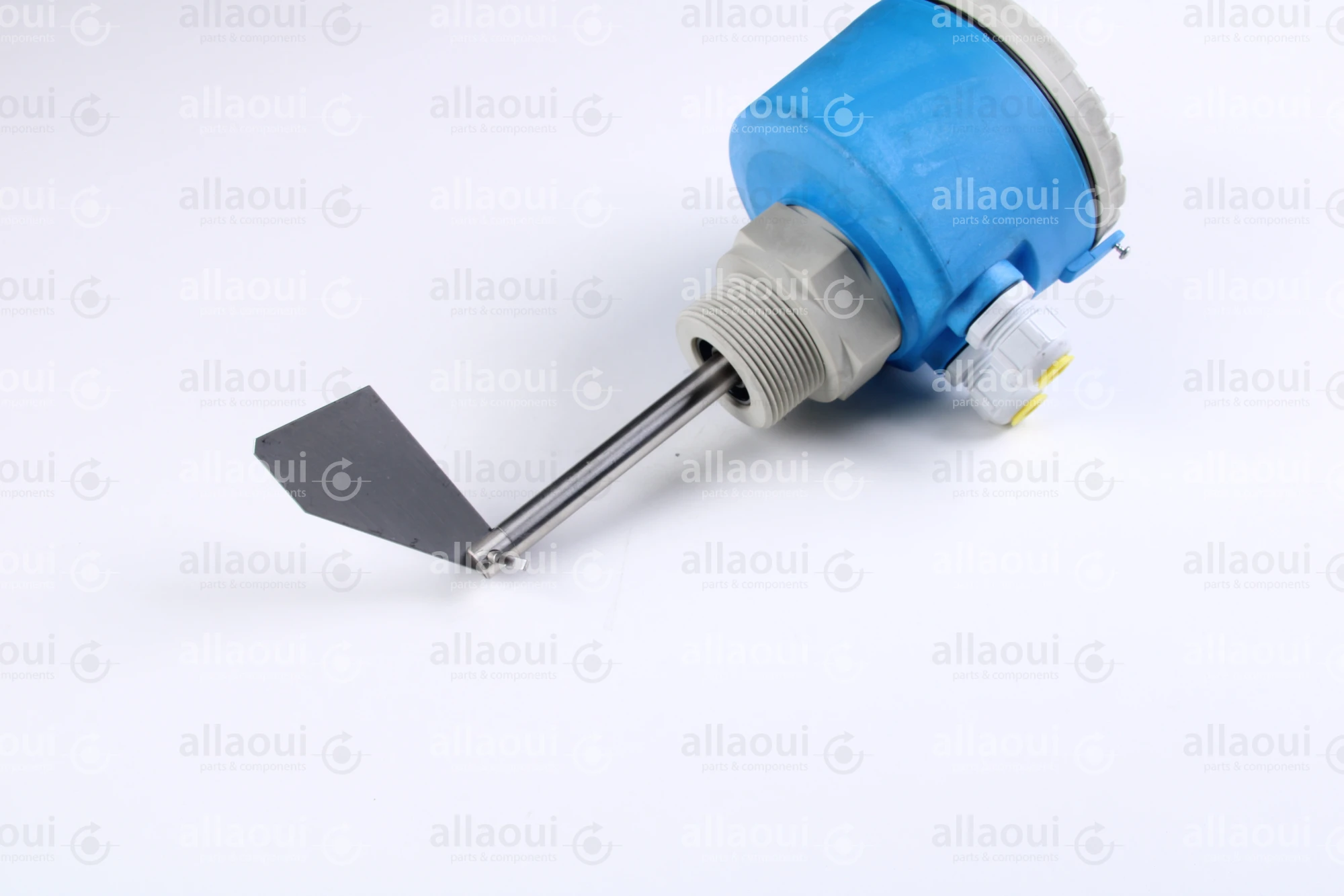 Endress-Hauser Point level switch Soliswitch FTE30 Endress-Hauser Point level switch Soliswitch FTE30